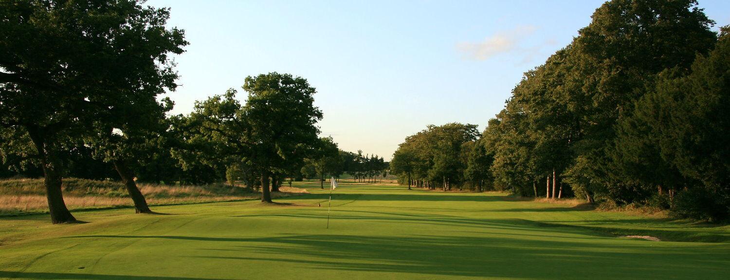 Smooth green leading to a wide fairway surrounded by trees at the Bracken course