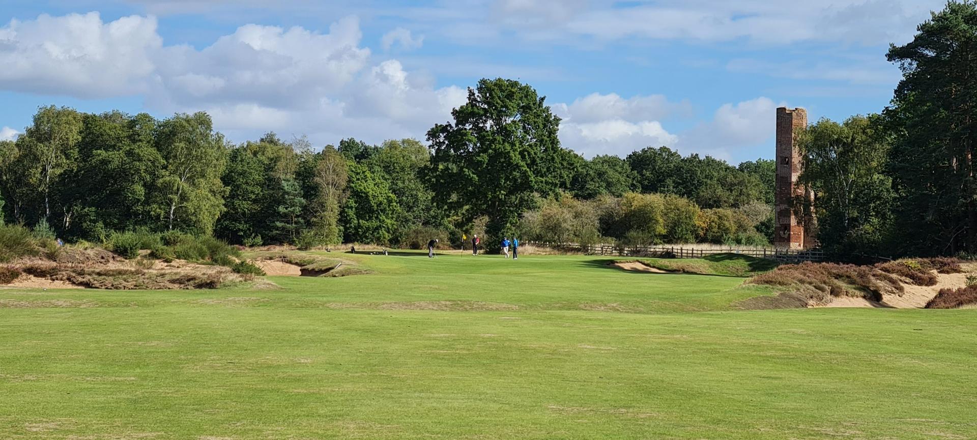 Golfers putting on the smooth green surrounded by trees under blue skies