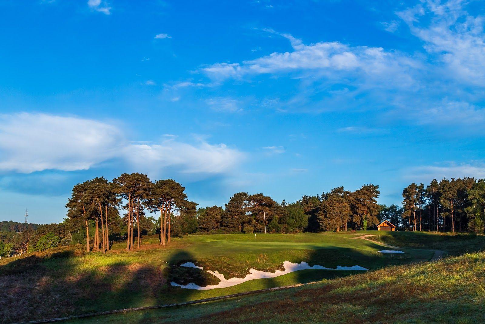 A lush green golf course hole surrounded by tall trees under a clear blue sky.