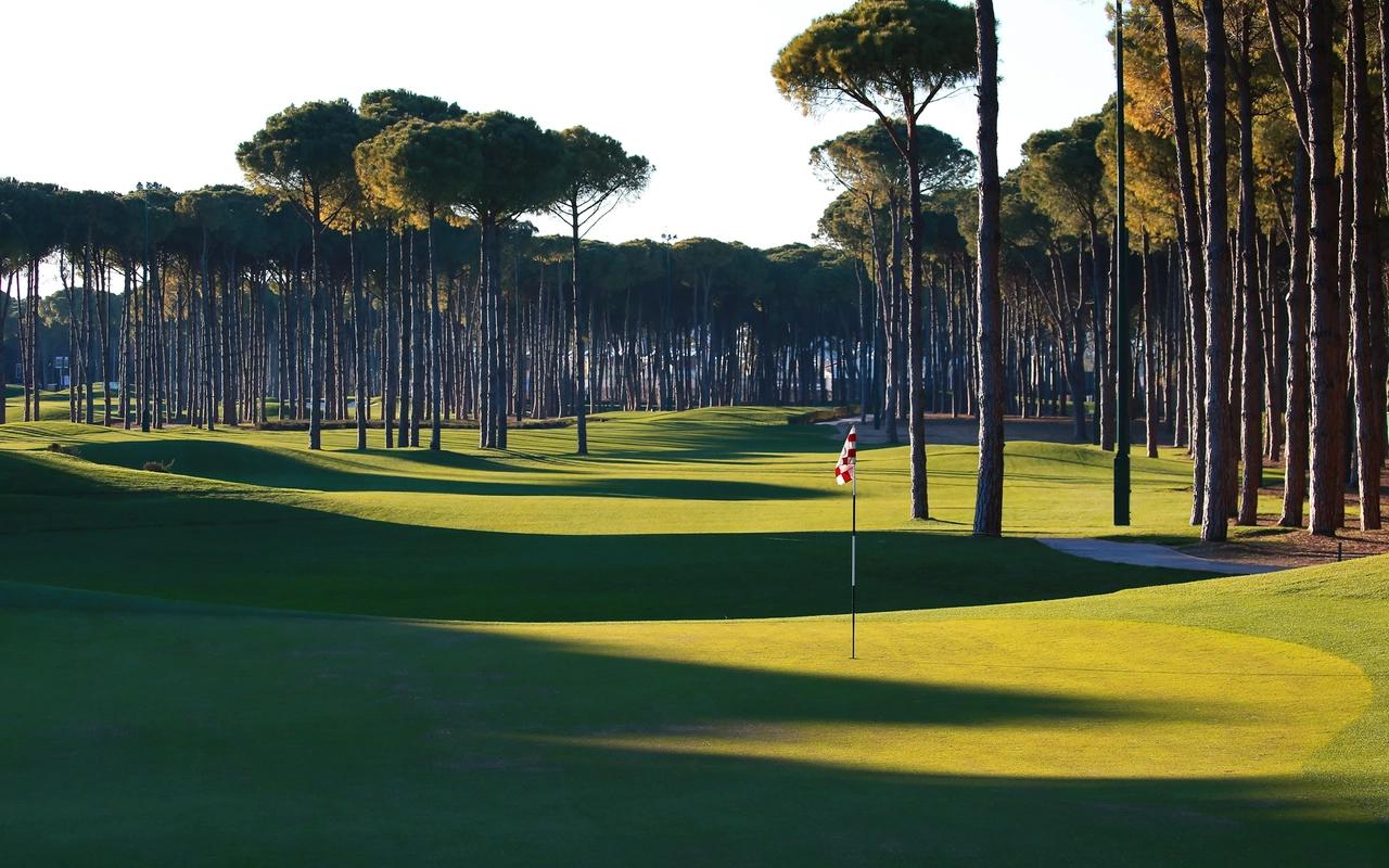 Winding, tree-lined fairway leading to the green