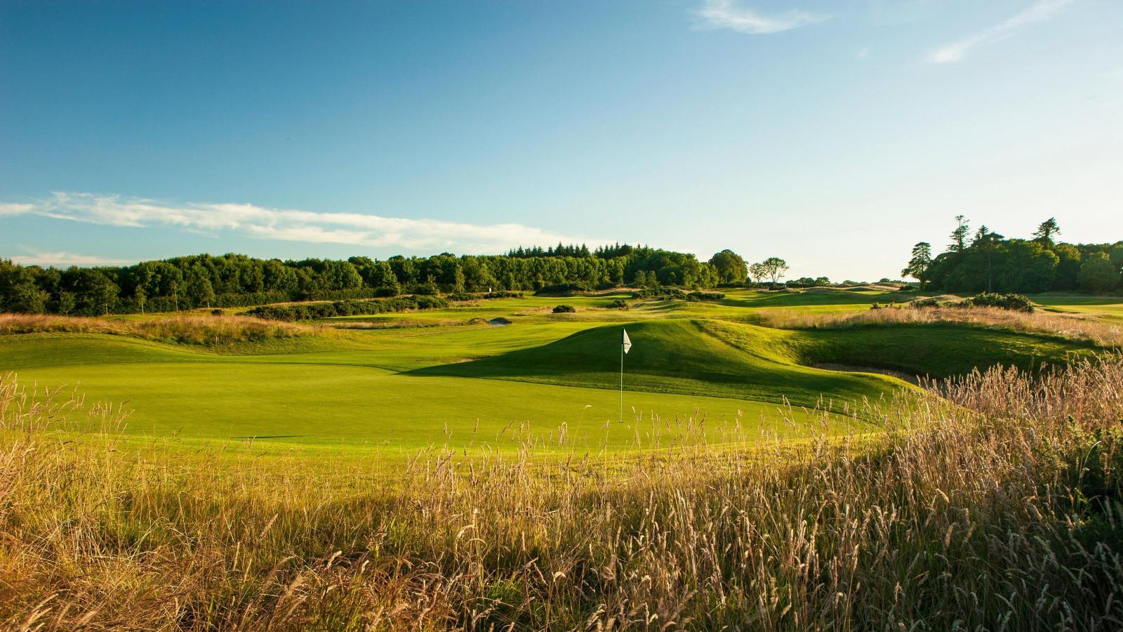 A rolling links green framed by tall fescue grasses and woodland under a bright blue sky.