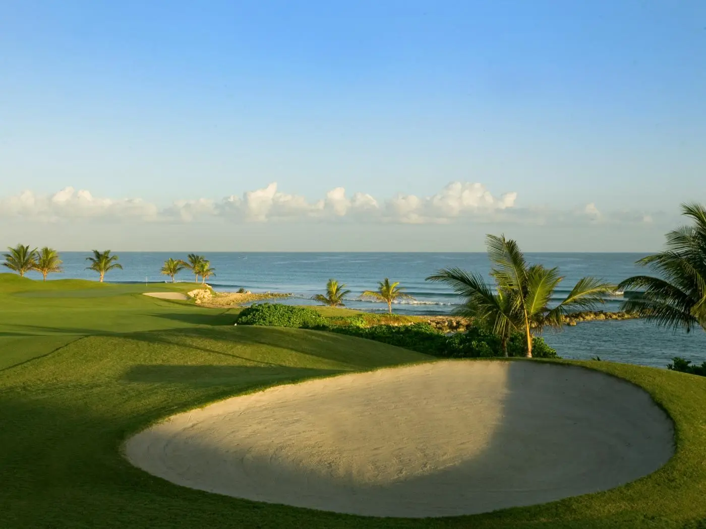 A serene golf course with palm trees overlooking the ocean.