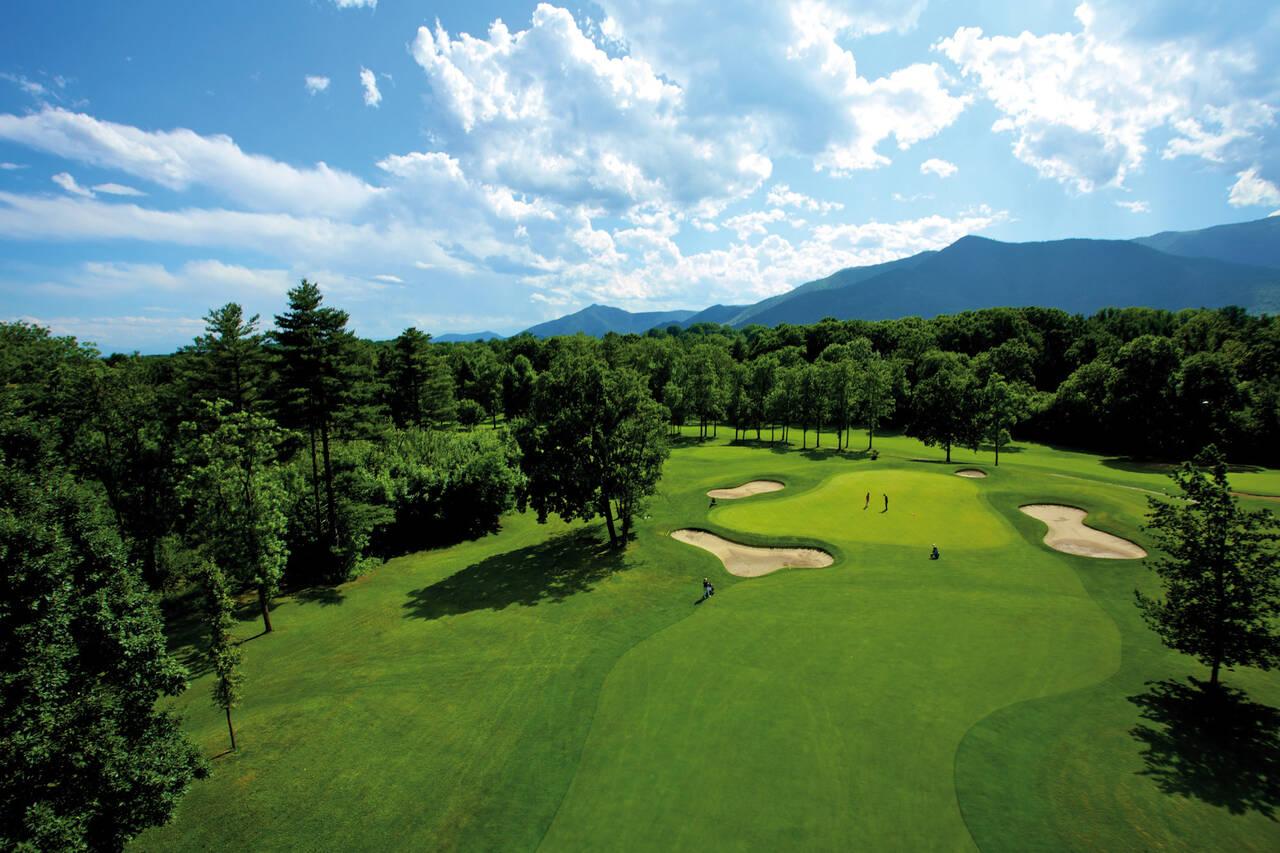 A pristine green with multiple bunkers and wide-open fairways framed by forest.