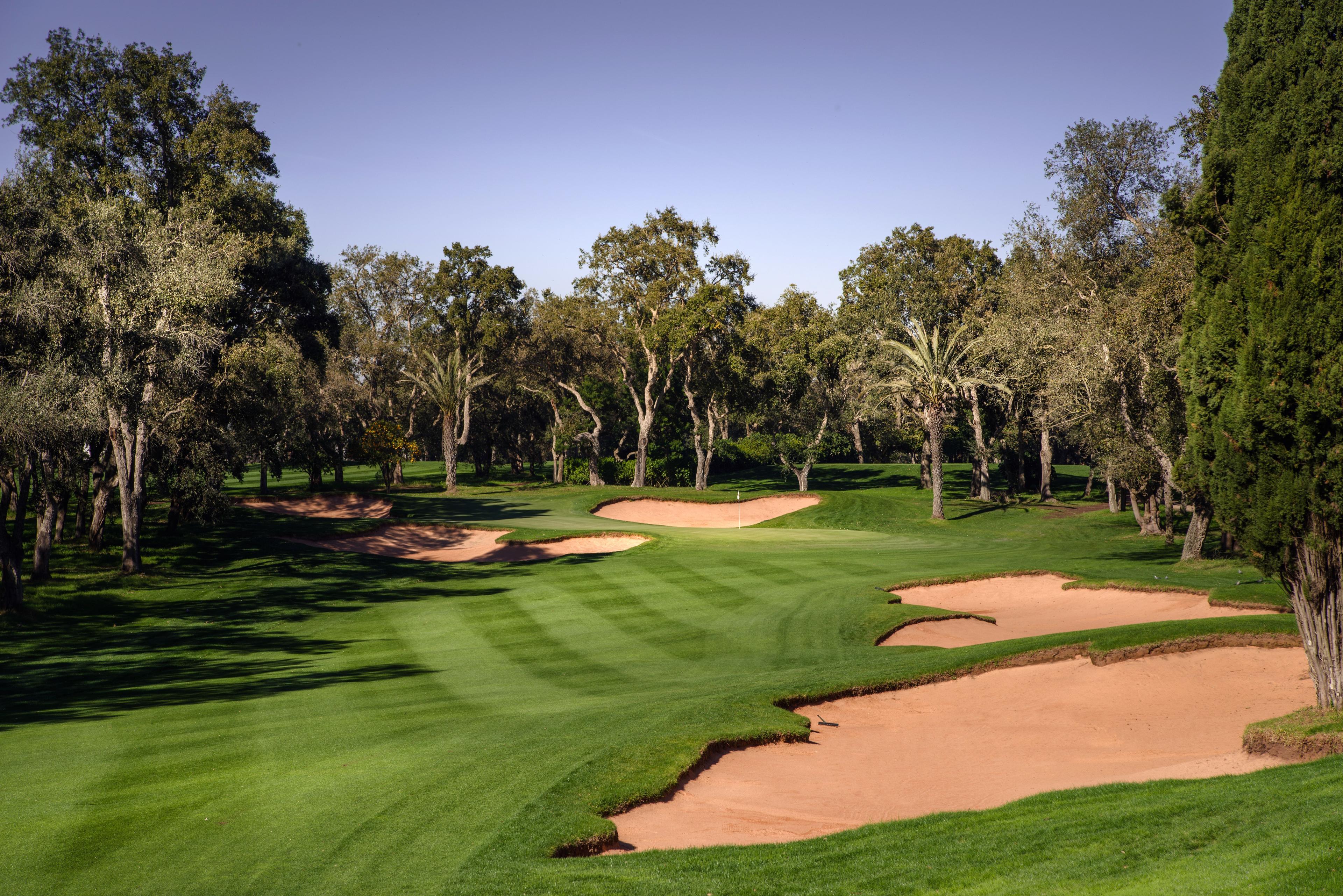A smooth green surrounded by sand bunkers