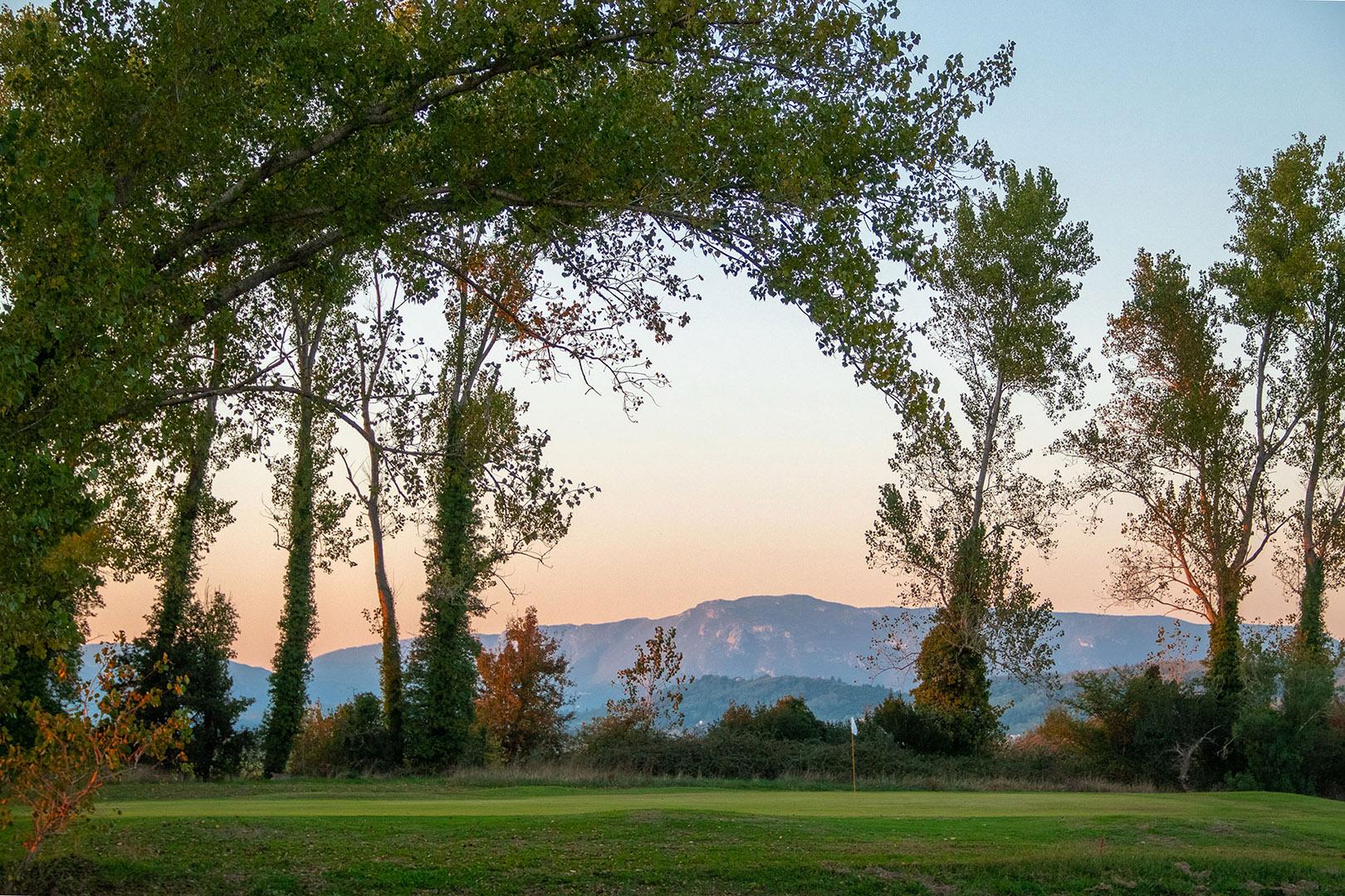 A smooth green surrounded by trees with a mountain view in the distance