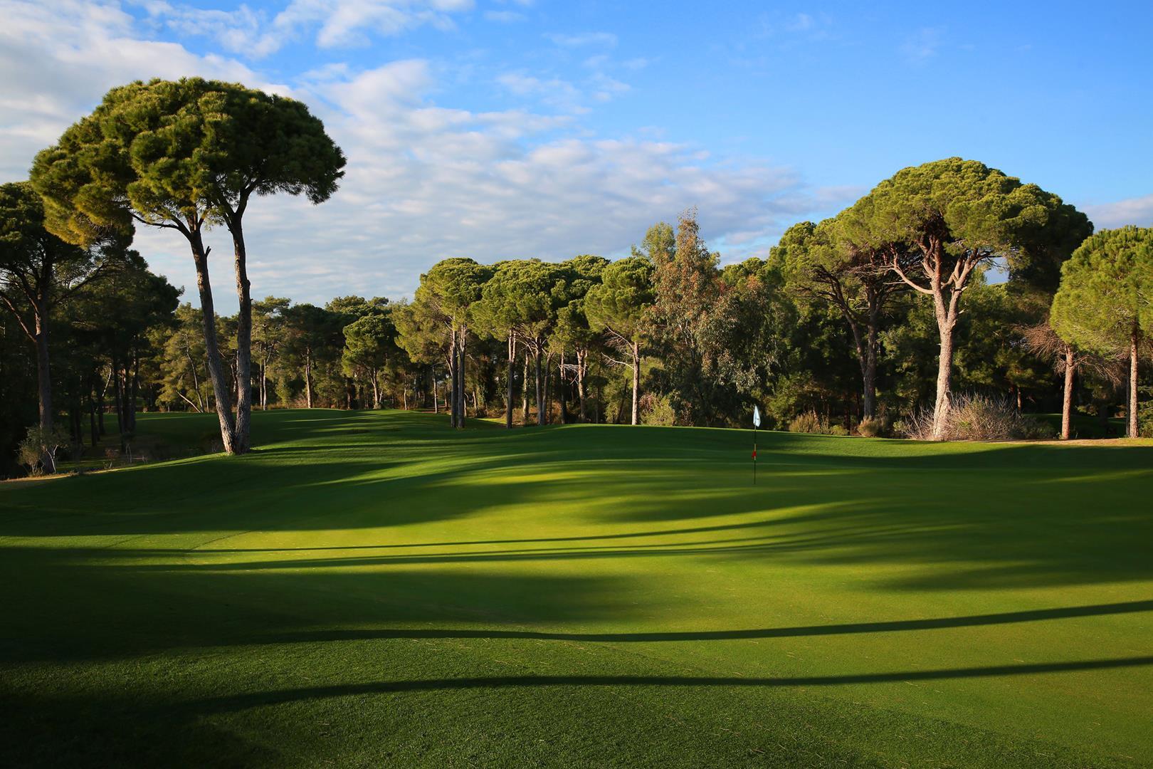 Narrow, tree-lined fairway leading up to the green
