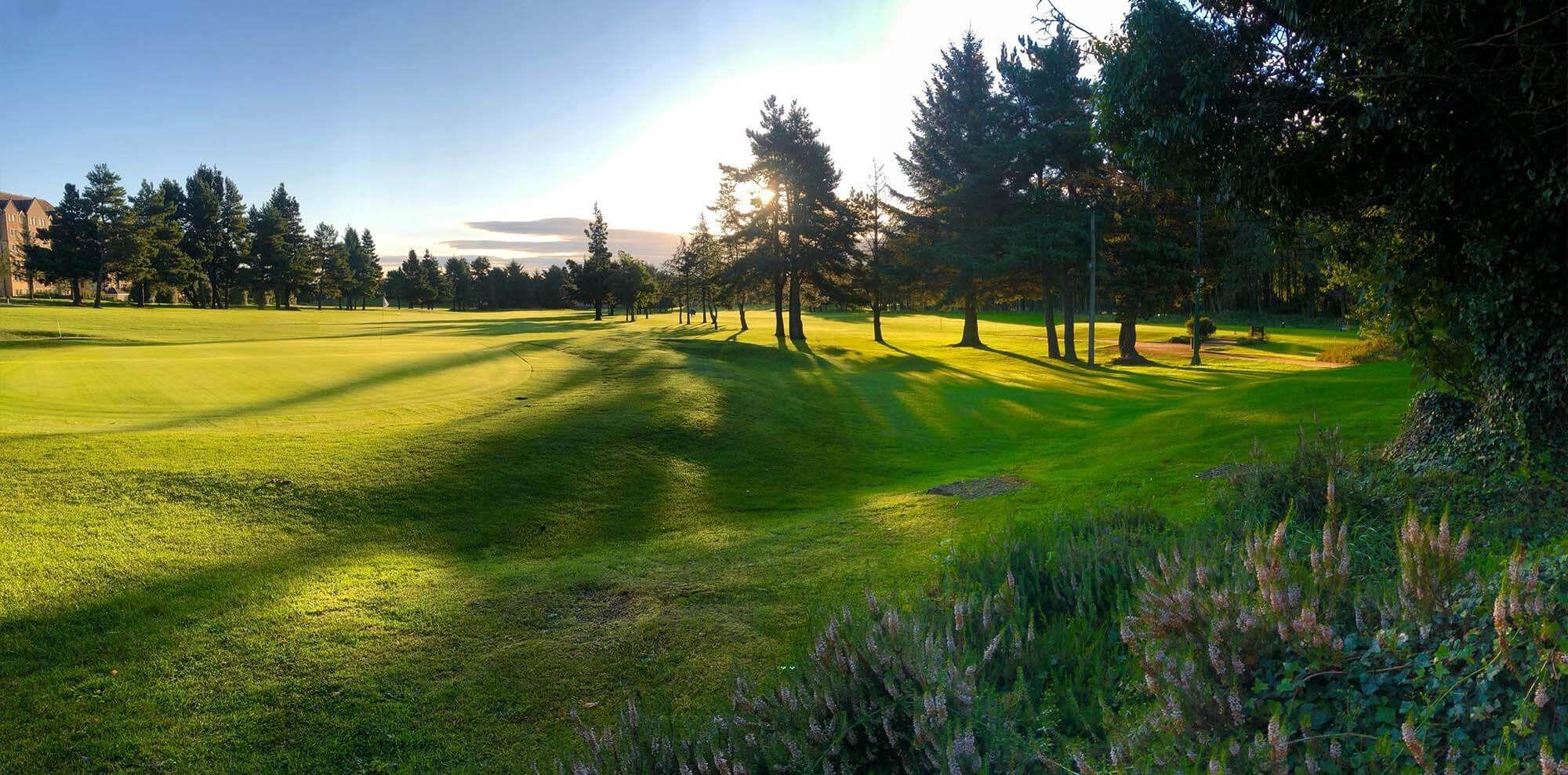 Golden evening sunlight casting long shadows across the green, framed by tall pines.