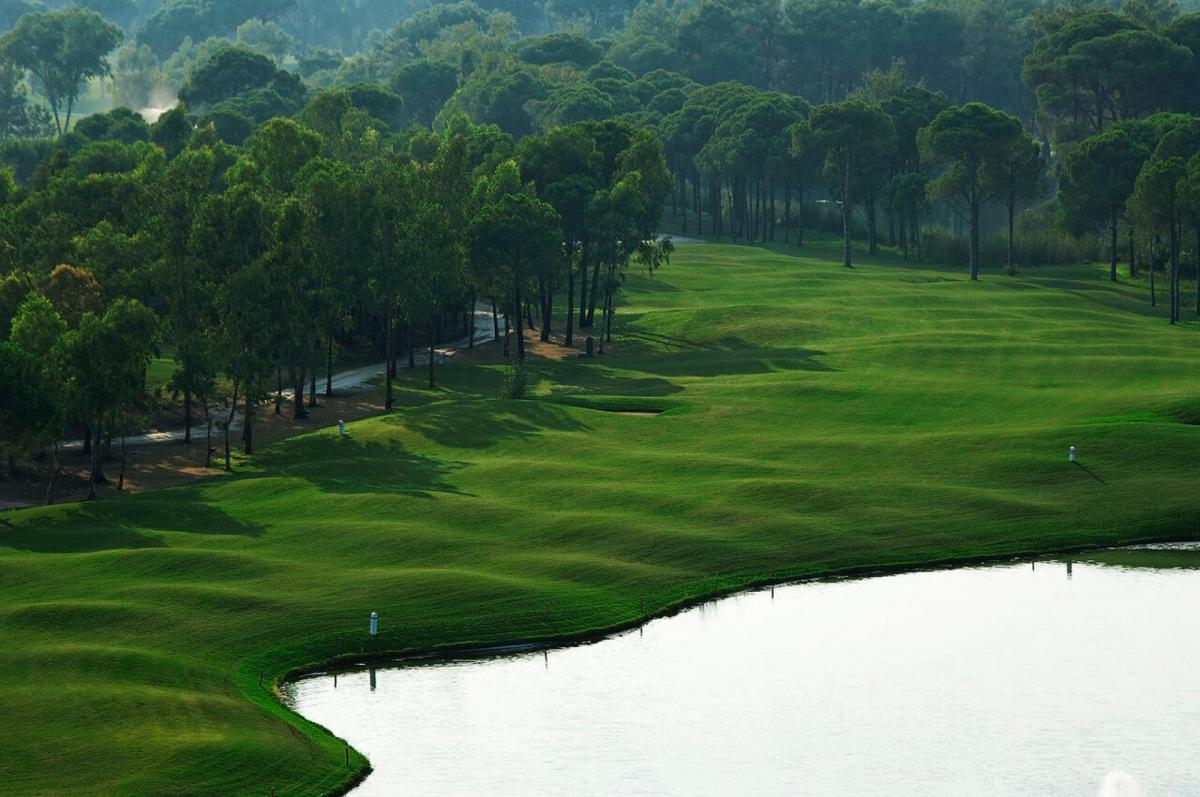 Undulating fairway with trees on one side and a water hazard on the other