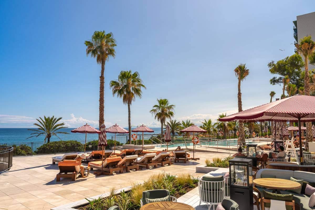 Outdoor swimming pool area with palm trees overlooking the ocean