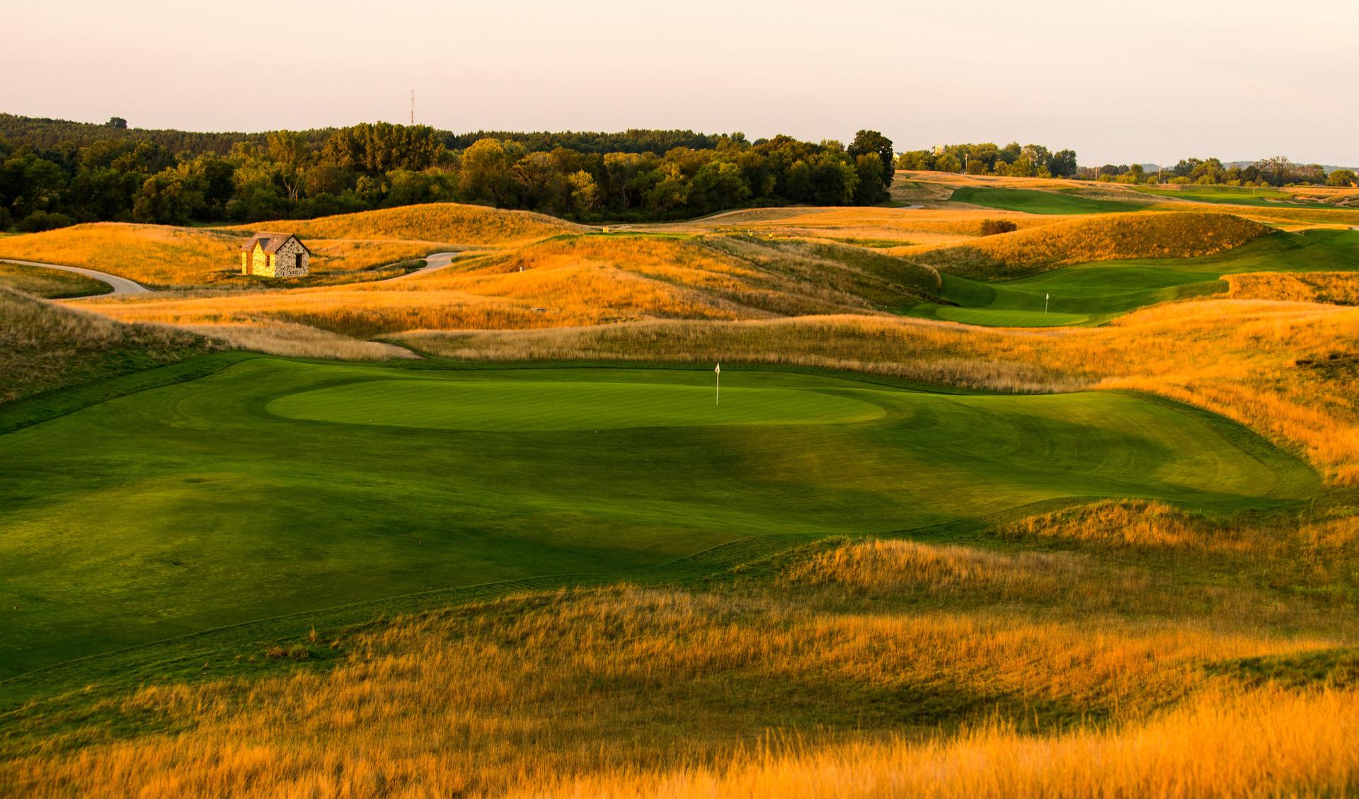 Smooth greens surrounded by a yellow mature grass rough