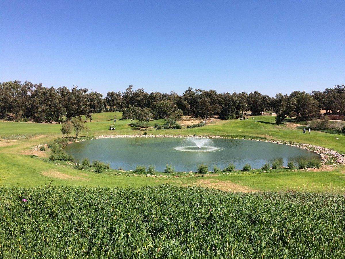 A tranquil golf course pond with a fountain surrounded by lush greenery.