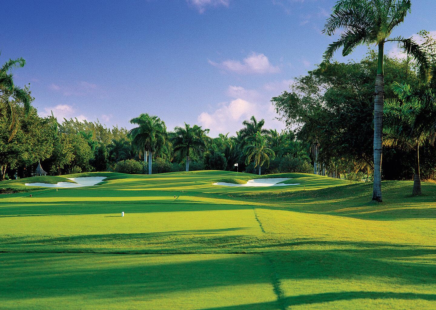 A vibrant fairway surrounded by palm trees and tropical vegetation.