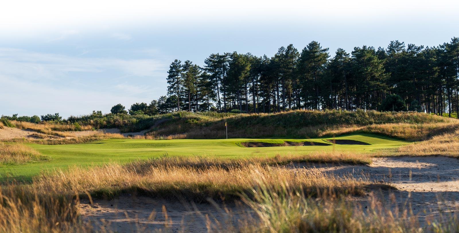 Smooth green at the course nestled with unique and bunkers and towering trees in the back