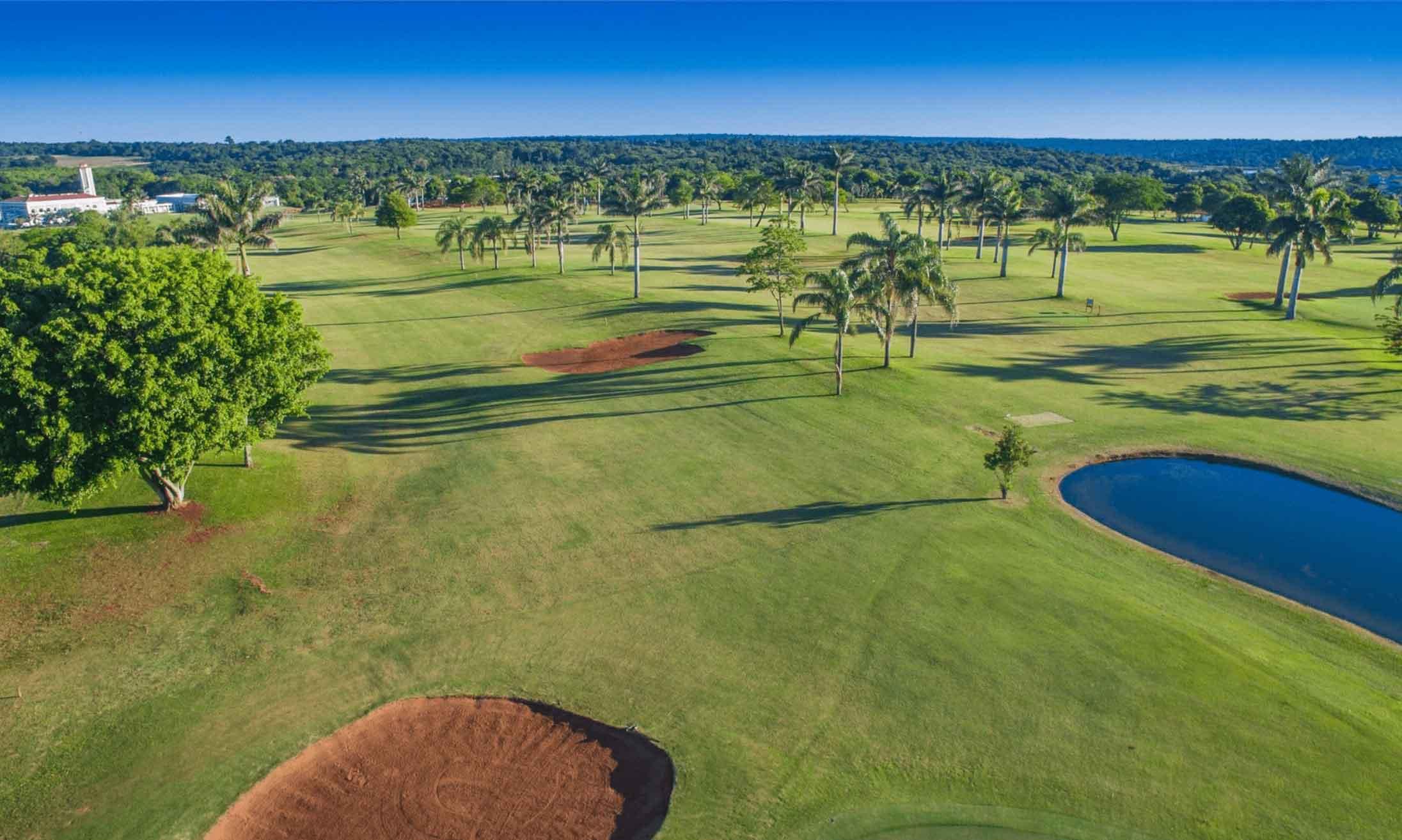 Birdseye view of wind well maintained fairways framed by palm trees