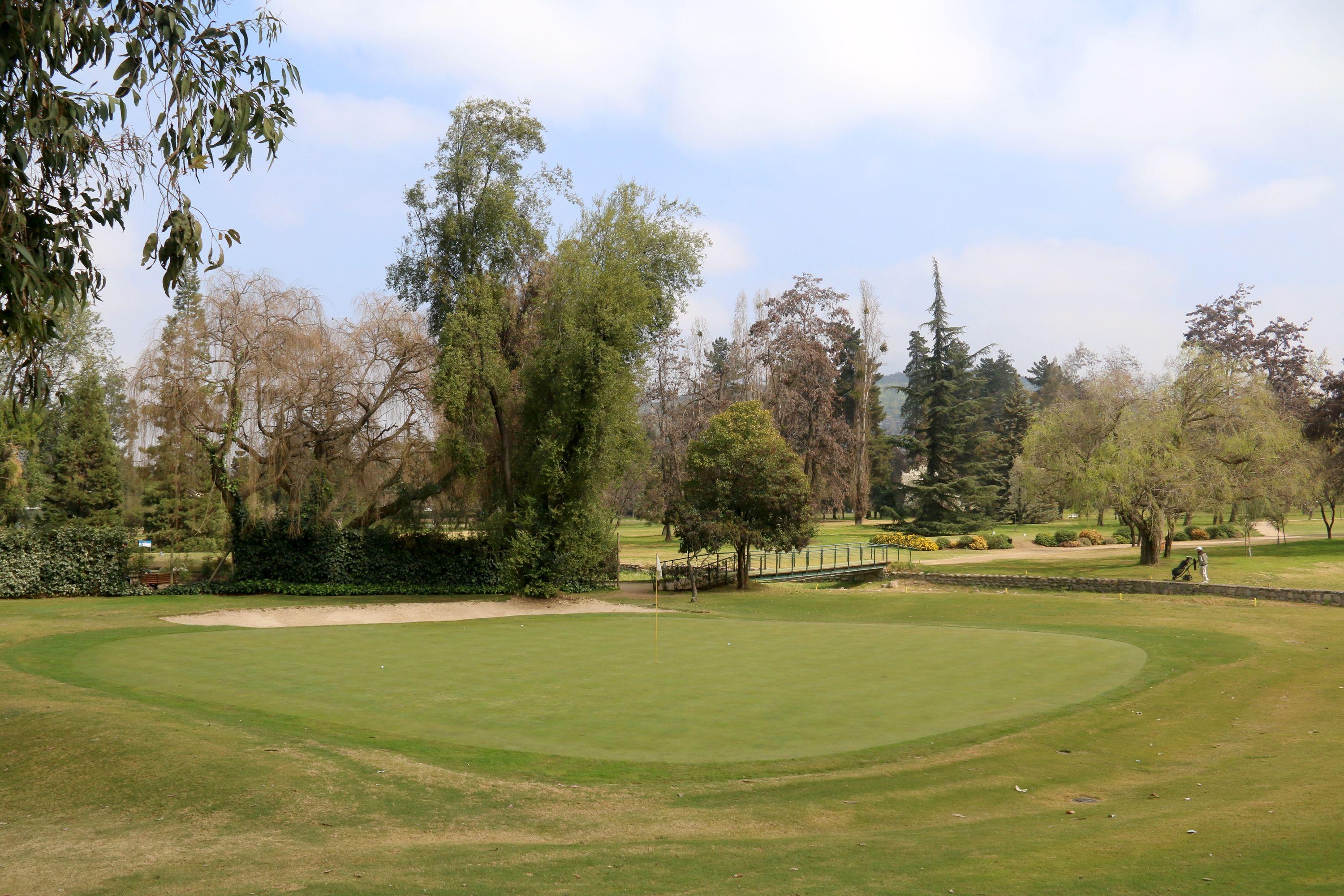 A green surrounded by trees with a small wooden bridge and sand bunker nearby