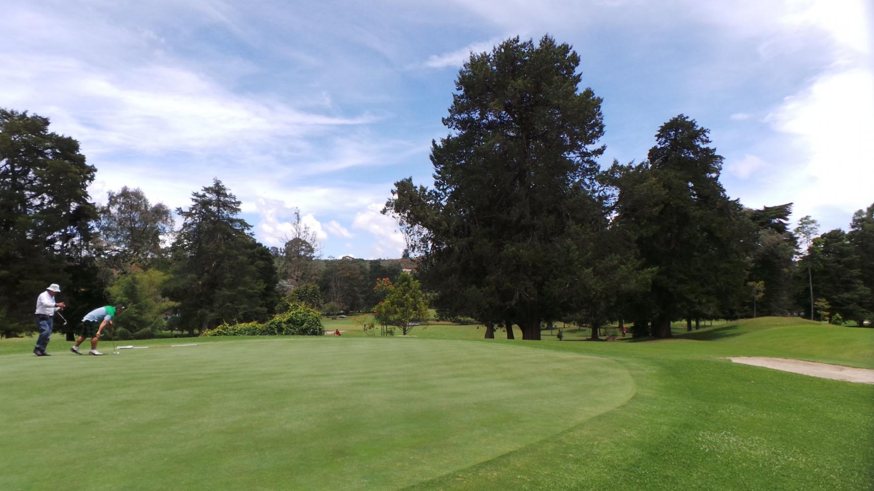 Two golfers preparing to putt on a bright green course