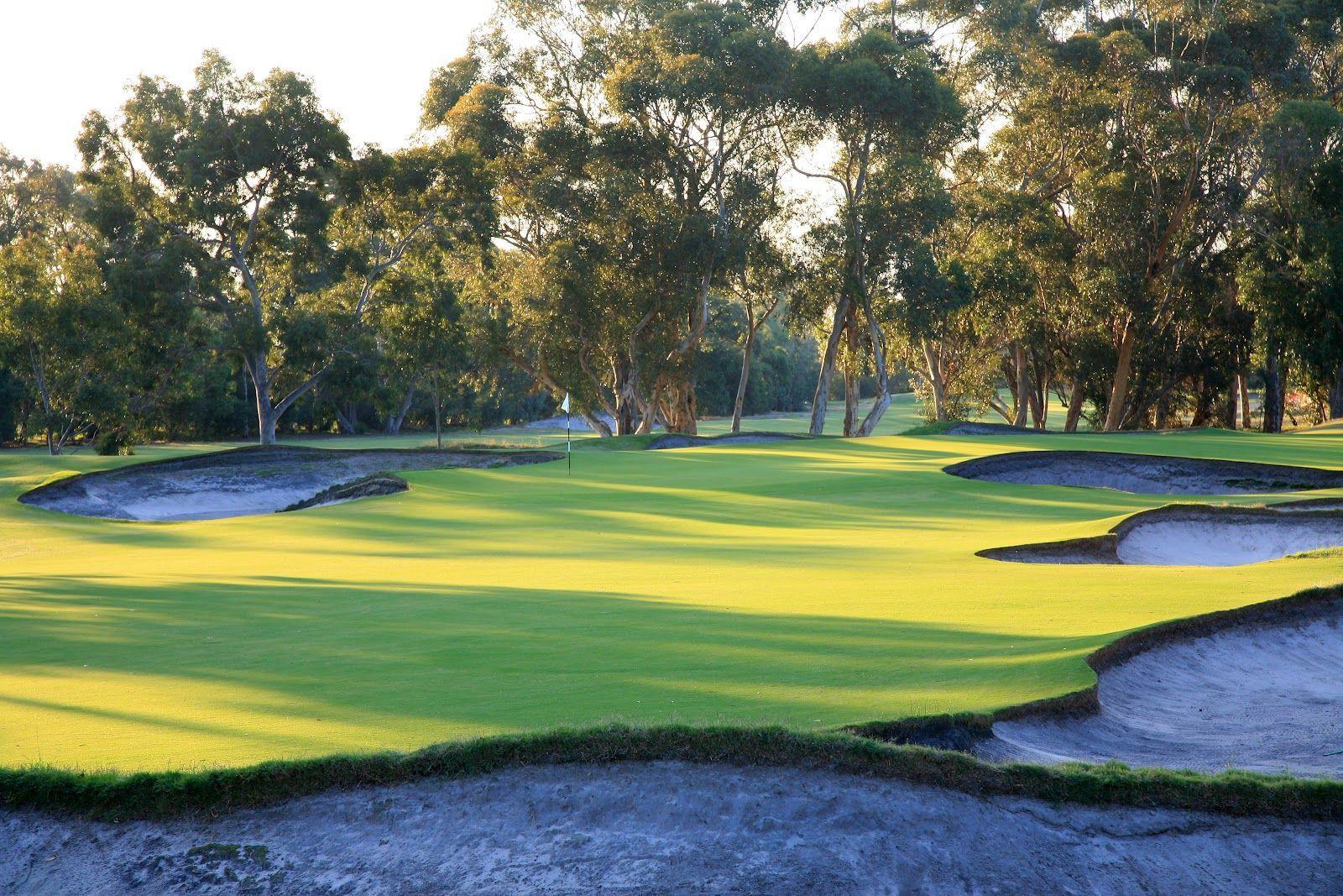 A well maintained green surrounded by deep sand bunkers