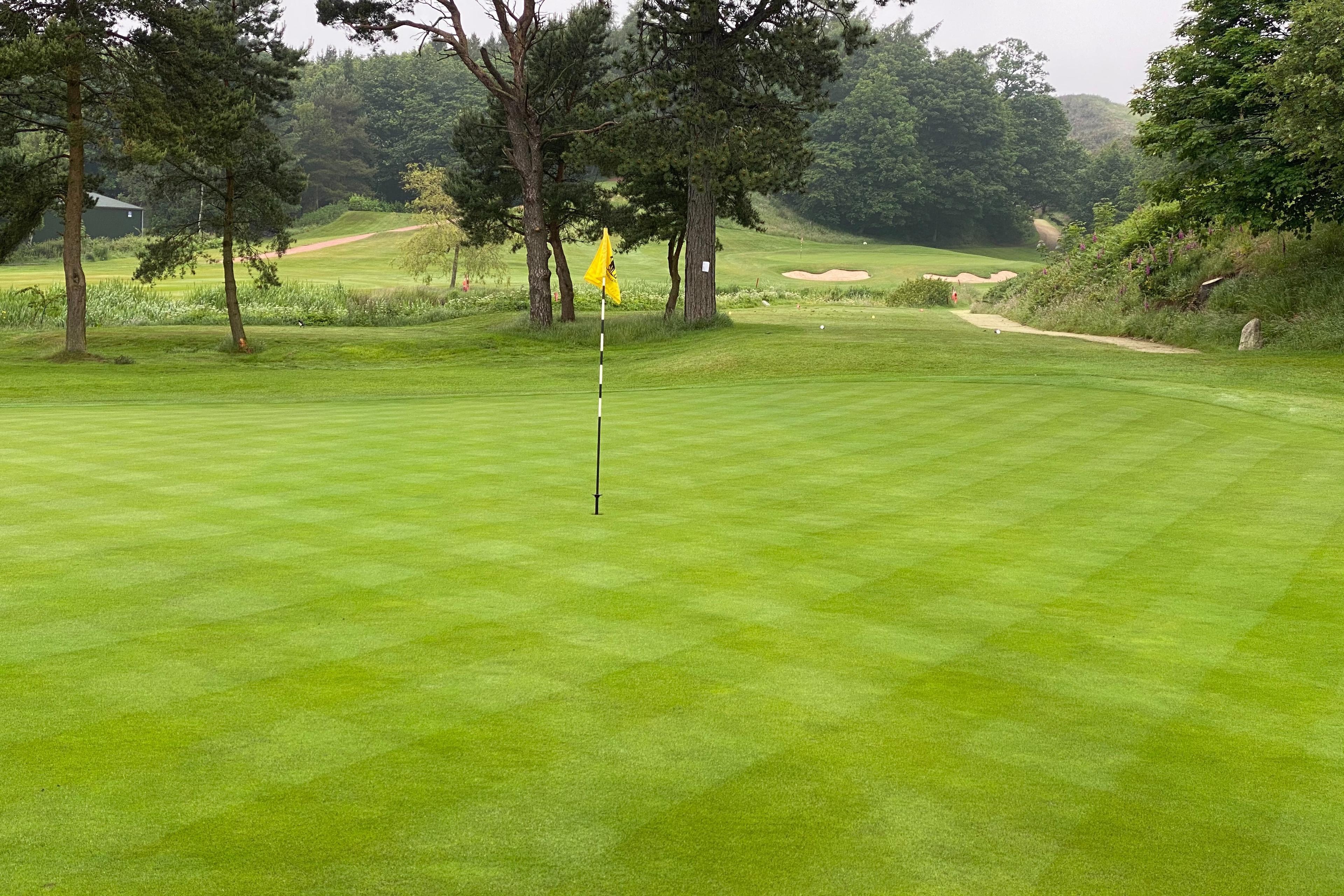 A smooth, well-kept green with a yellow flagstick surrounded by trees and bunkers.