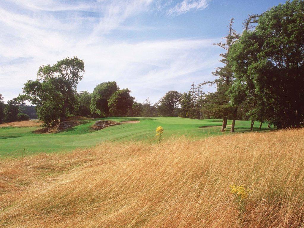 A tree-lined fairway with golden fescue leading to a protected green.