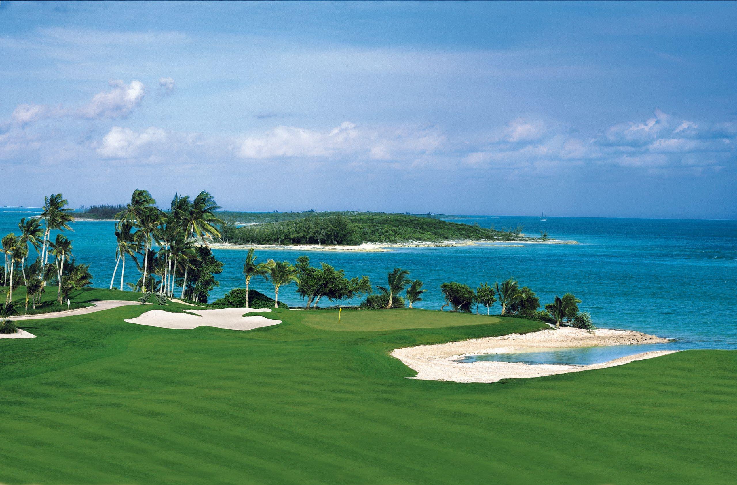 Panoramic view of a green surrounded by sand bunkers and palm trees