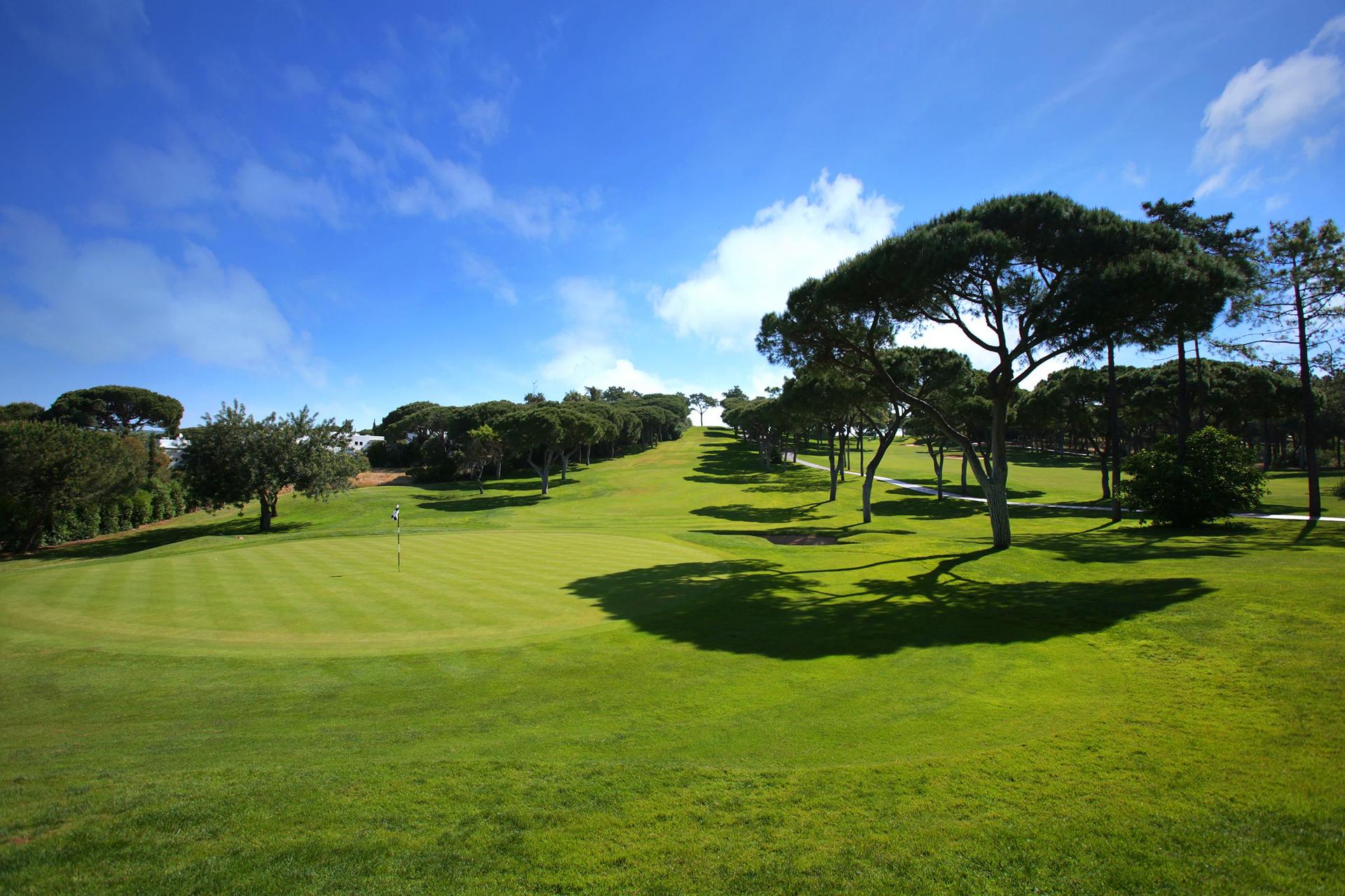 Tree-lined fairway leading down to a pristine green