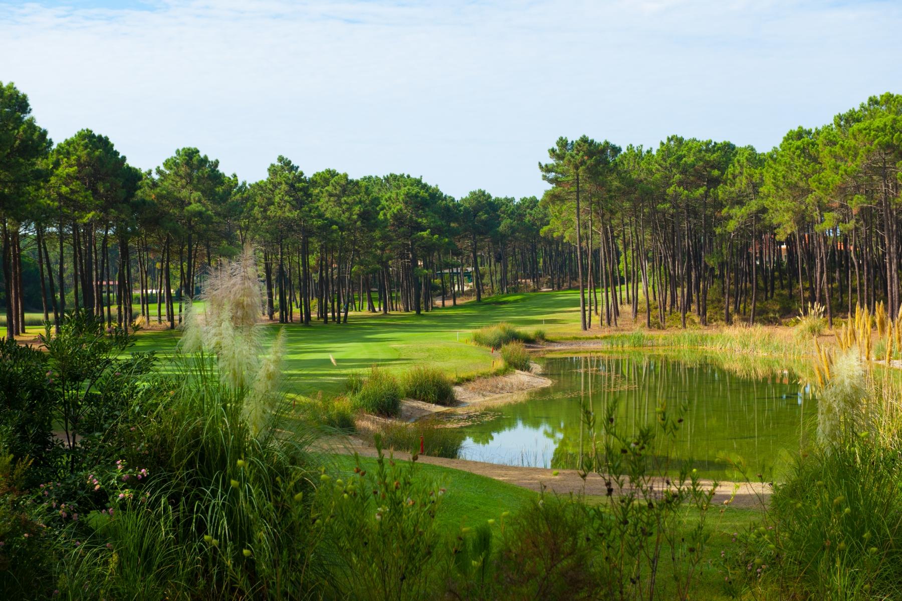 Tree lined fairway with water in front of it on a golf course