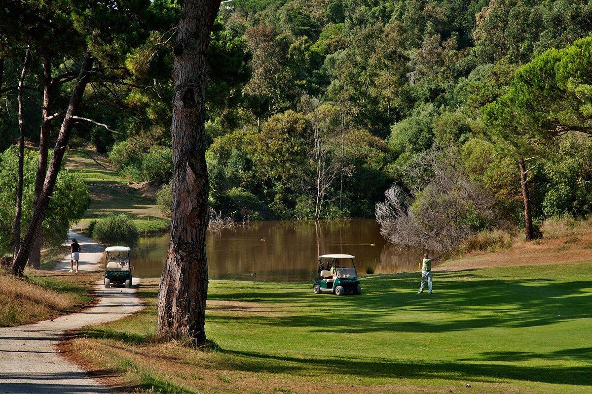 Player playing an approach shot with water and trees behind