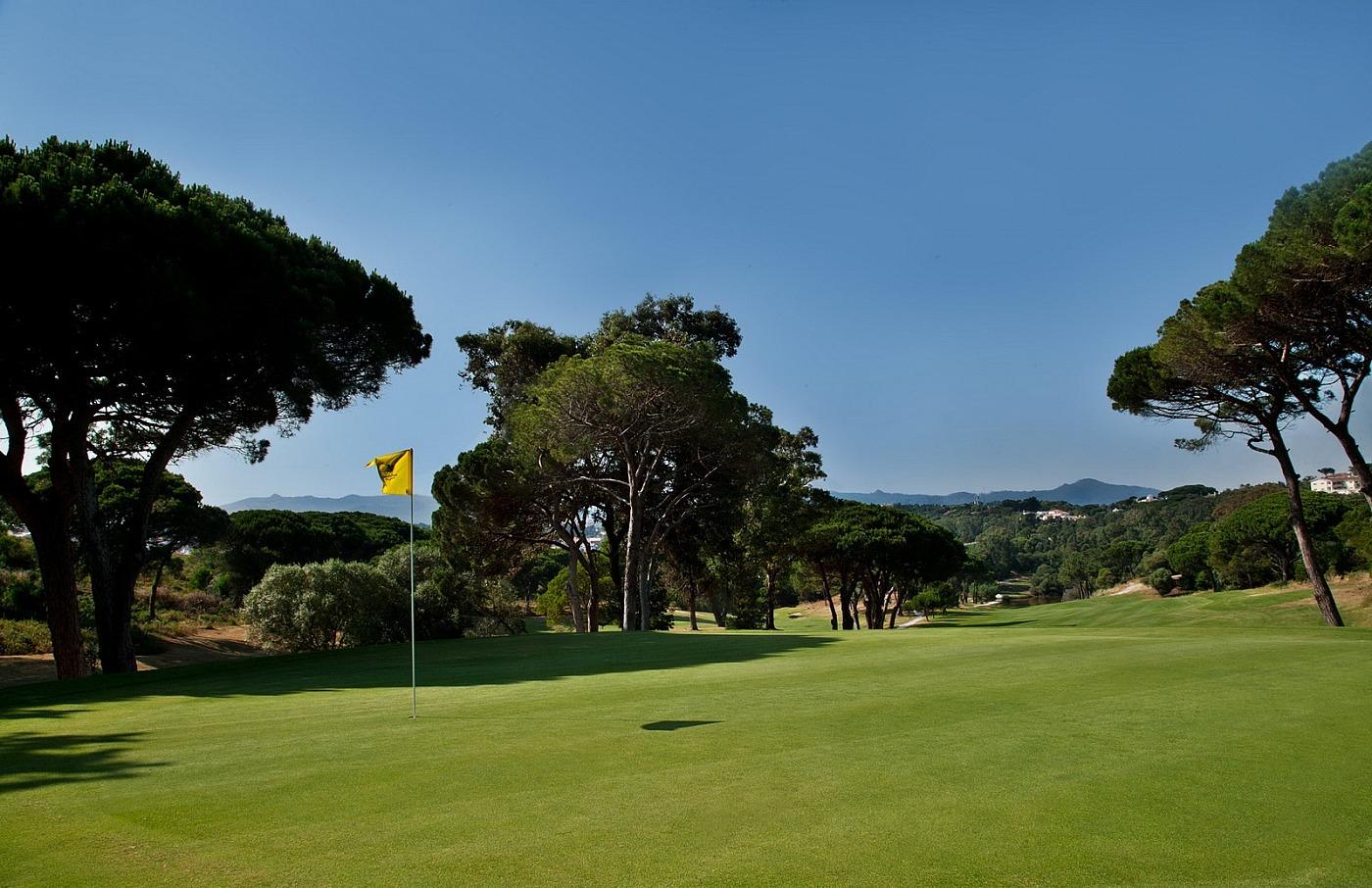 Tree-lined, winding fairway leading up hill to the green
