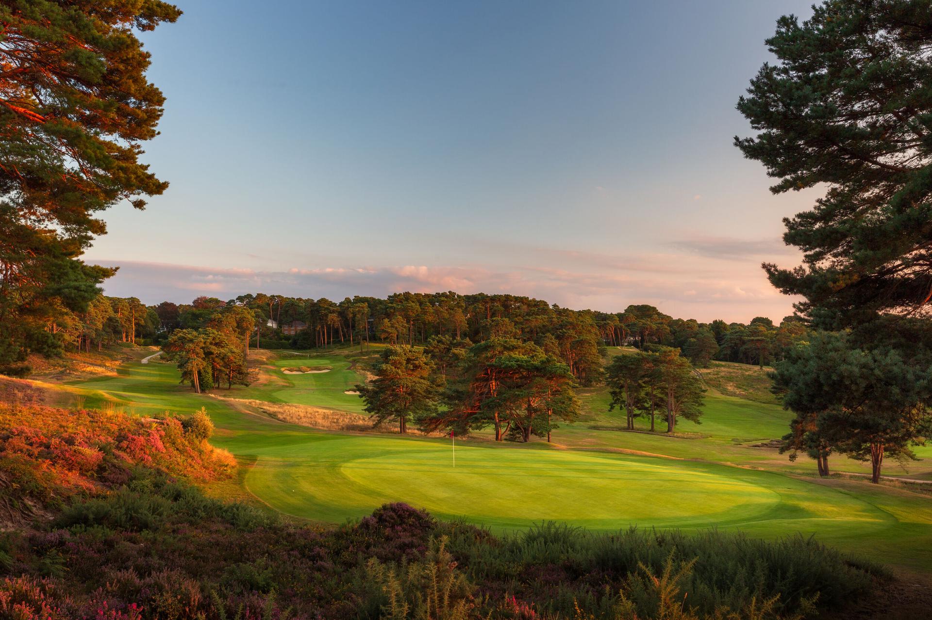 A vibrant green course with colorful heather and trees at sunset.