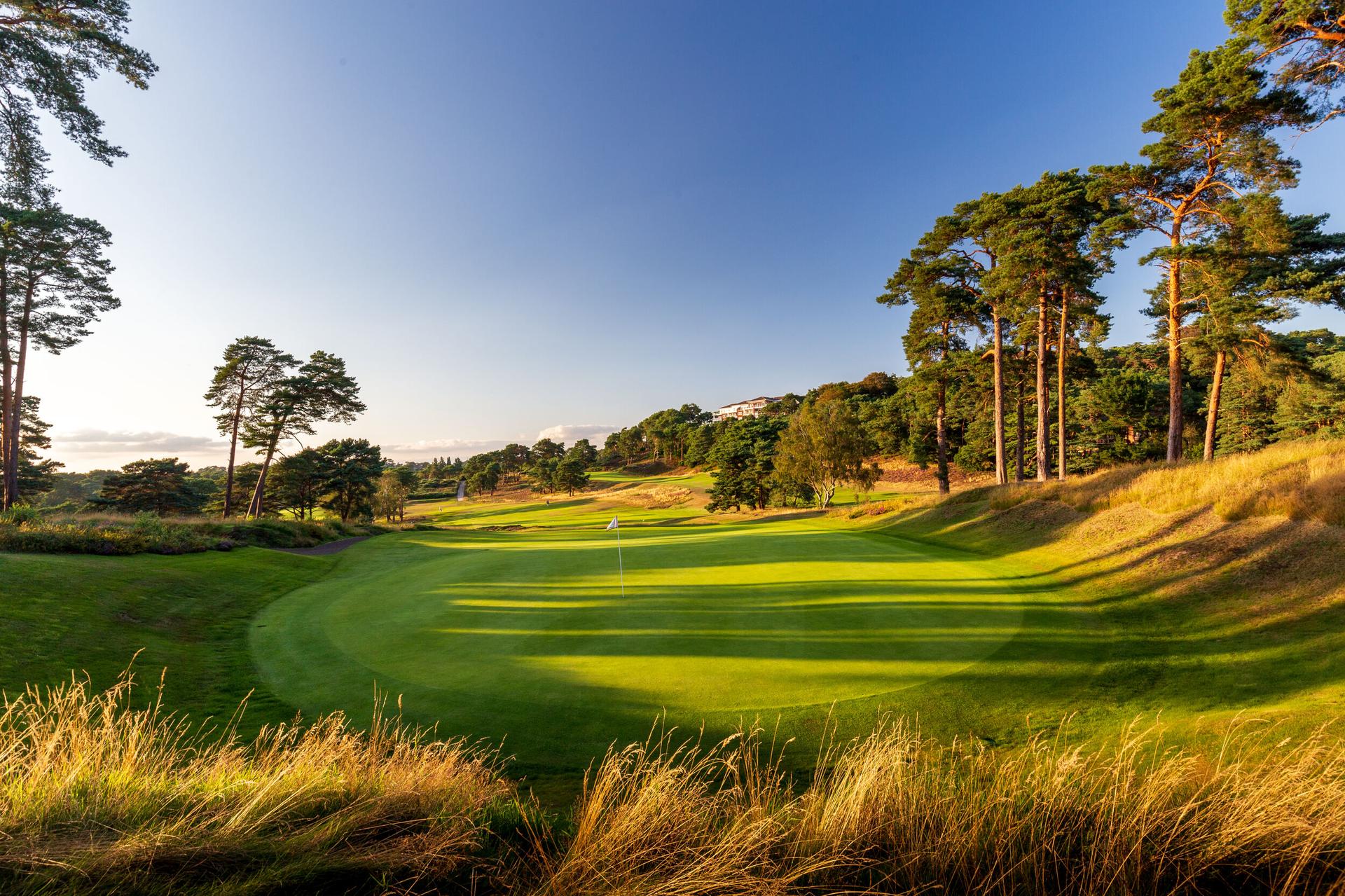 A lush golf green surrounded by tall pine trees under a bright blue sky.