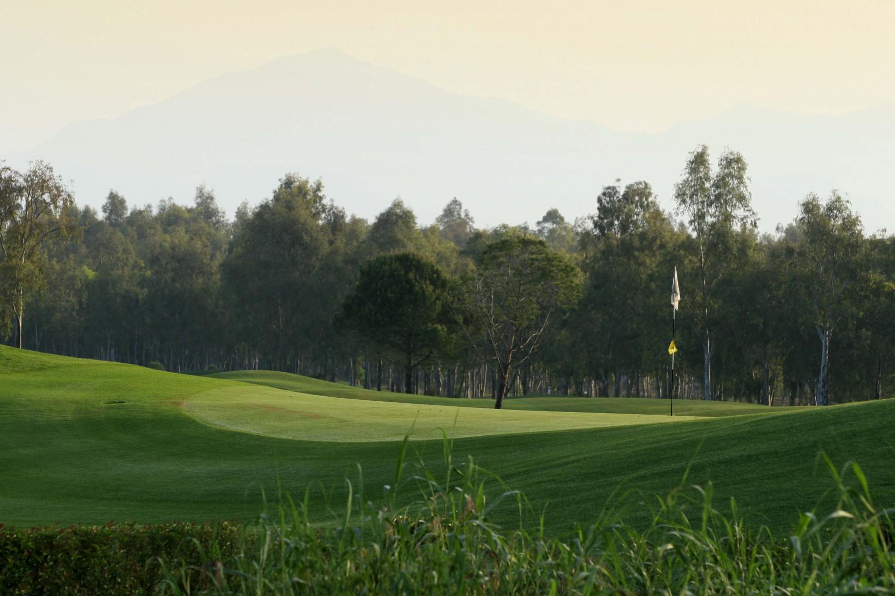 Manicured green with trees in the background