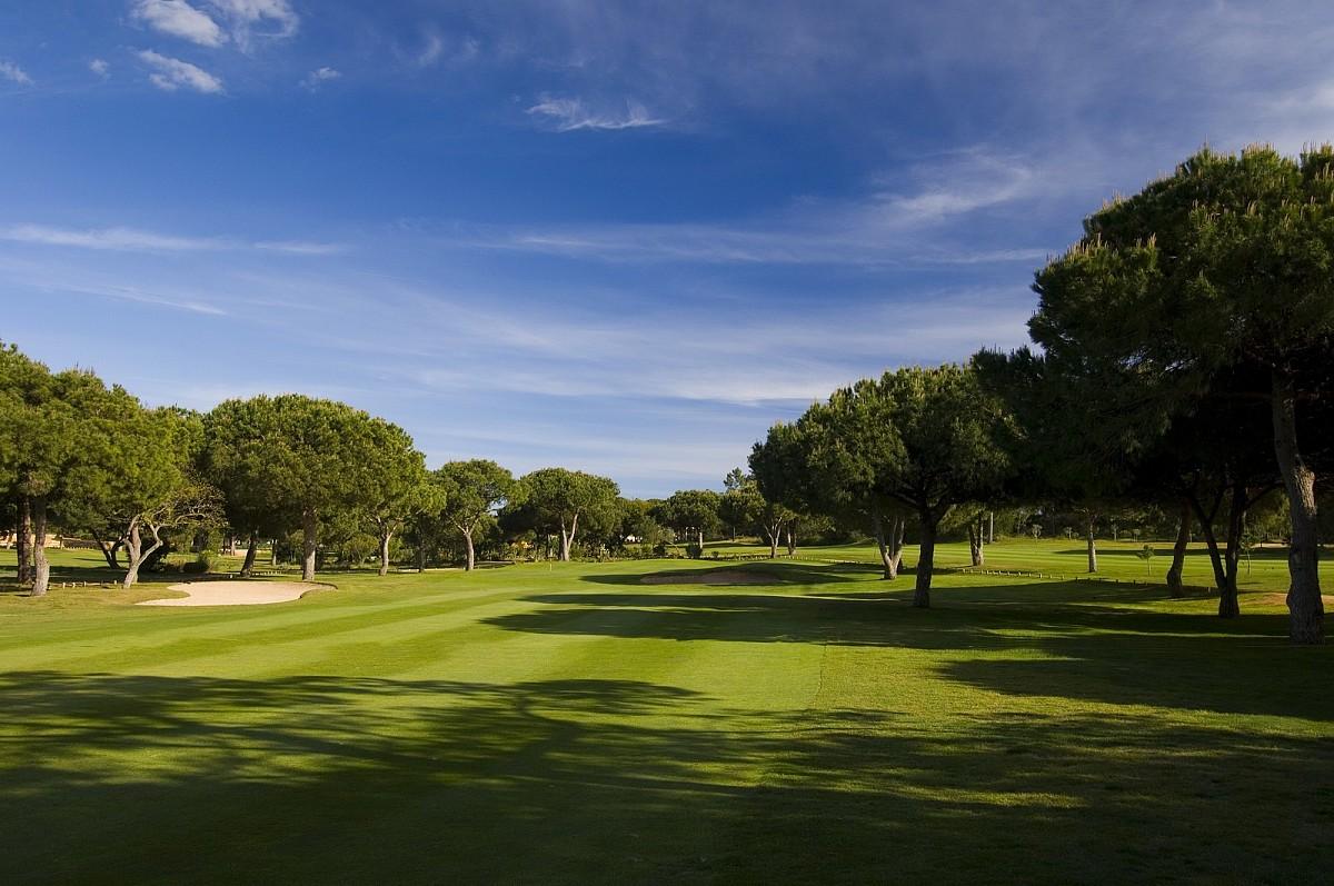 Tree-lined, manicured fairway with blue sky