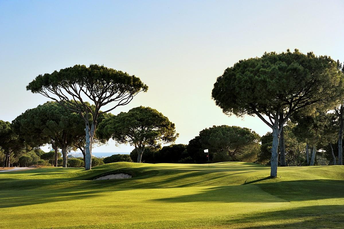 Manicured fairway leading up to the green