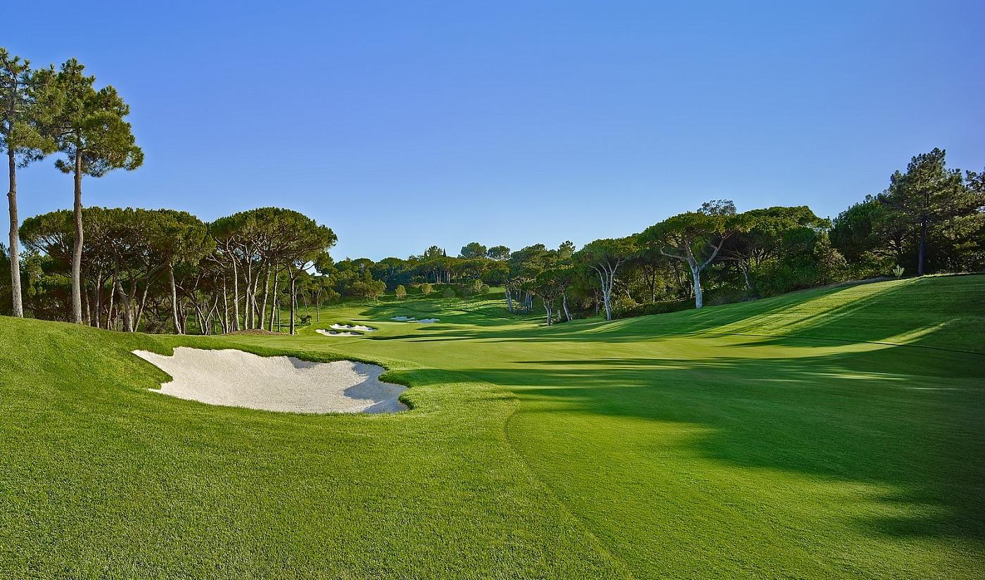 Manicured, tree-lined fairway punctuated with bunkers leading up to the green