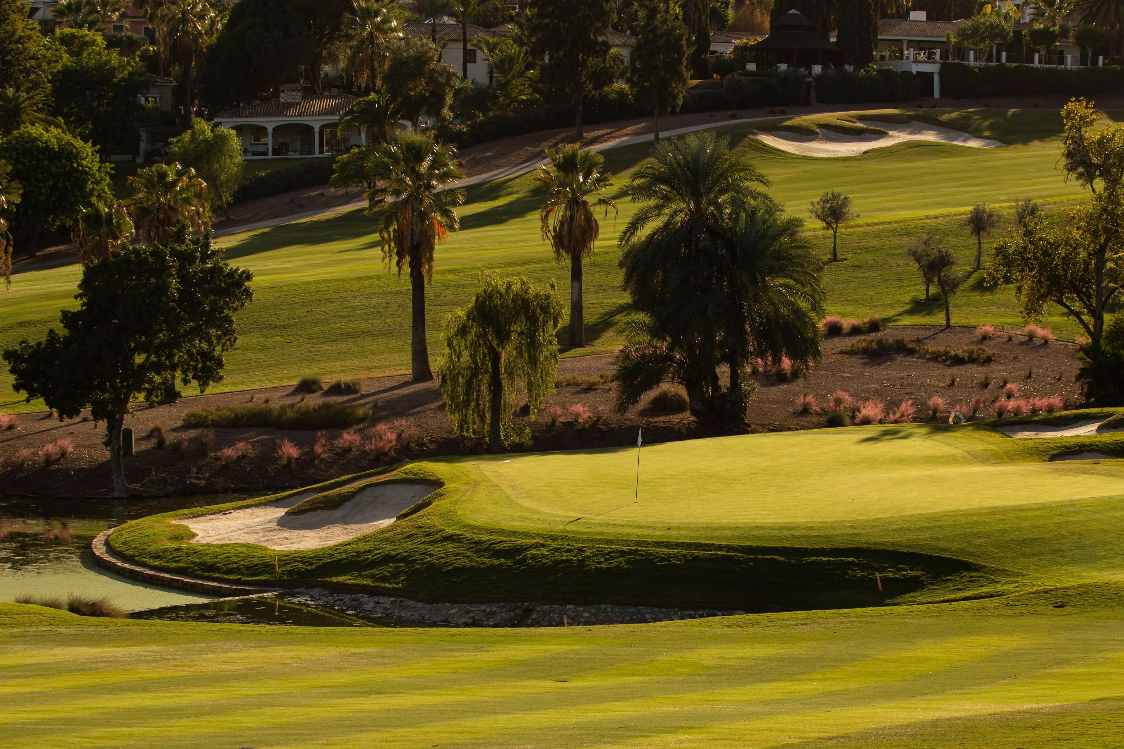 Green with water in front
