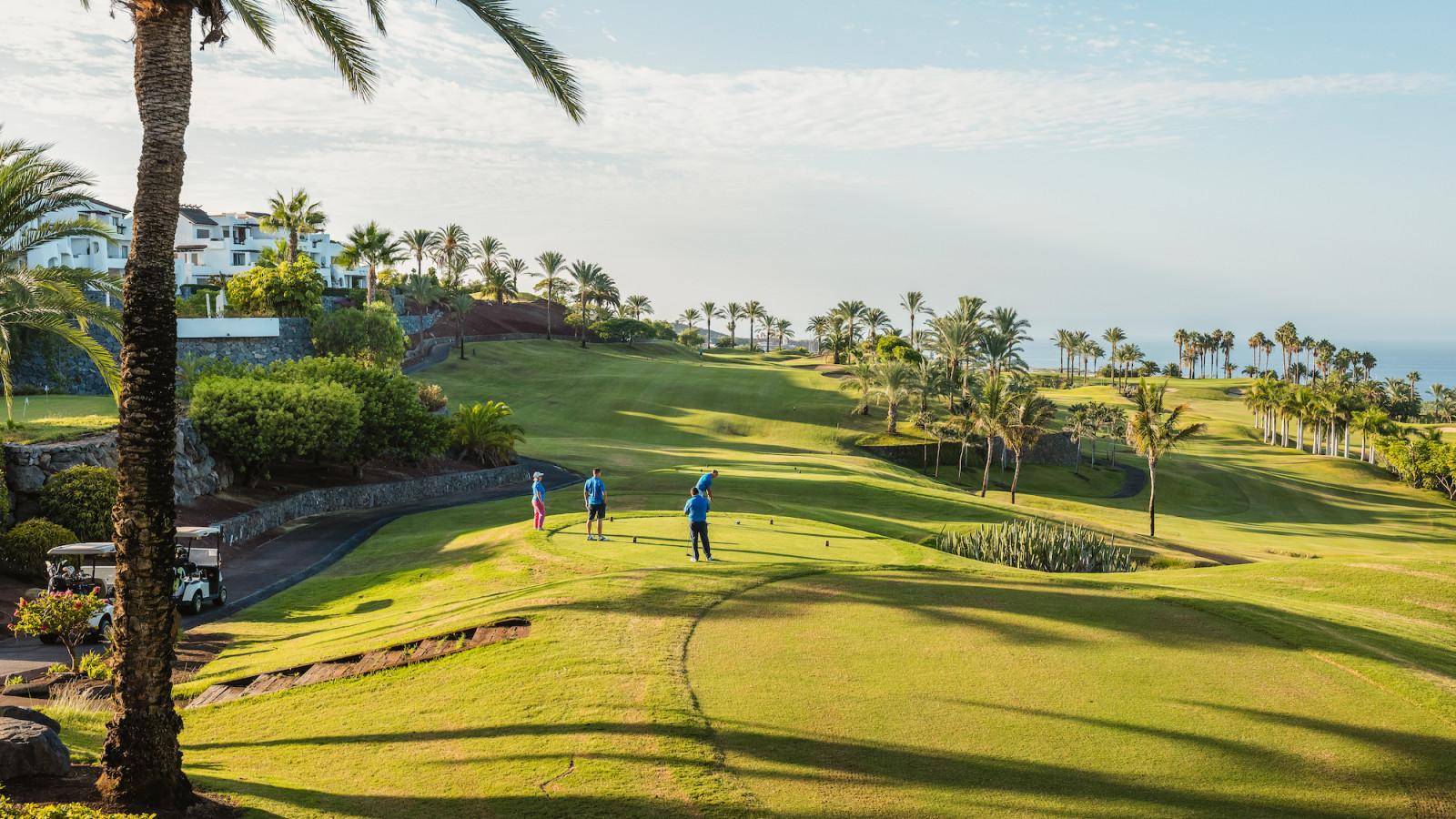 Palm tree lined fairways at Abama Golf