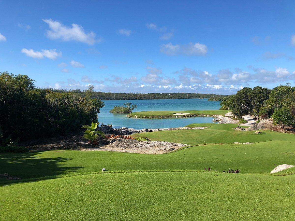 A serene view of an island green with turquoise water and greenery.