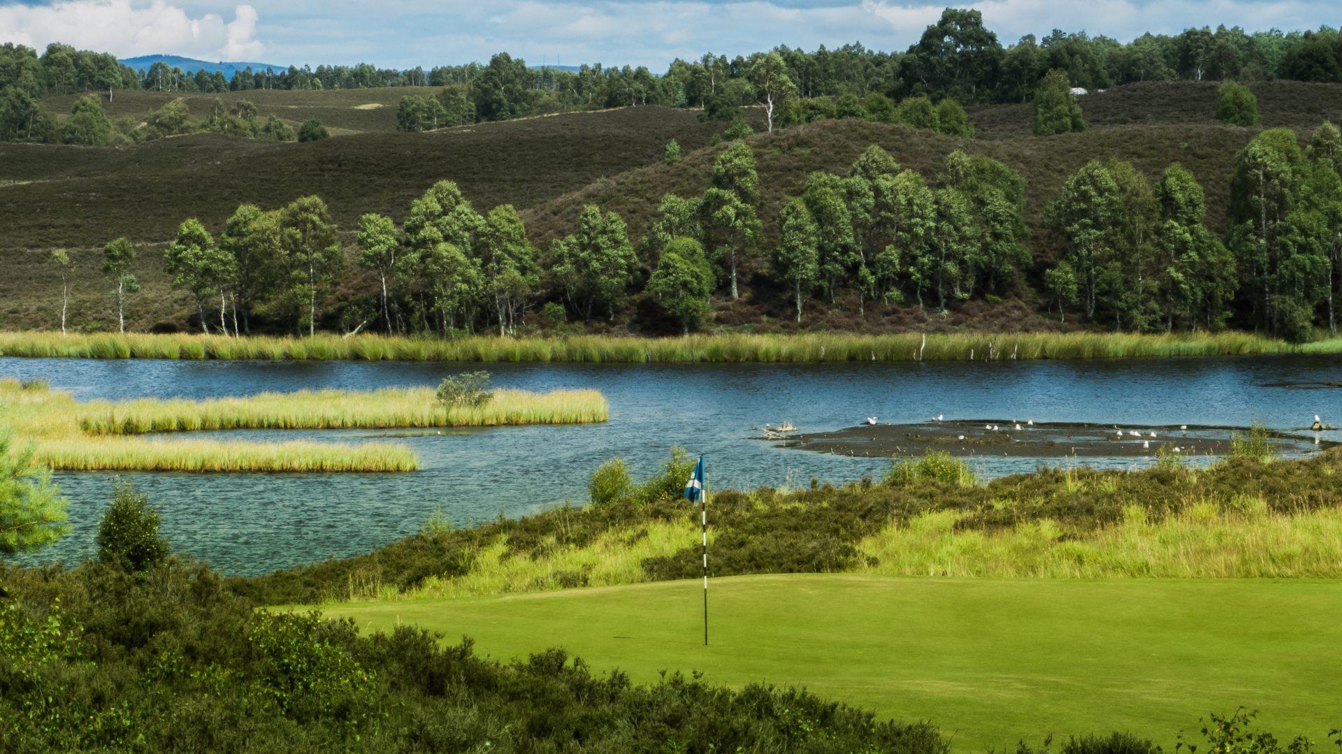 Well-maintained greens overlooking water hazard with tree line in the back