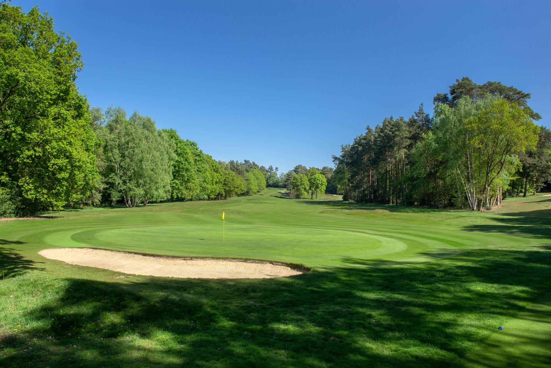Classic fairways framed by lush woodland at Sunningdale Golf Club