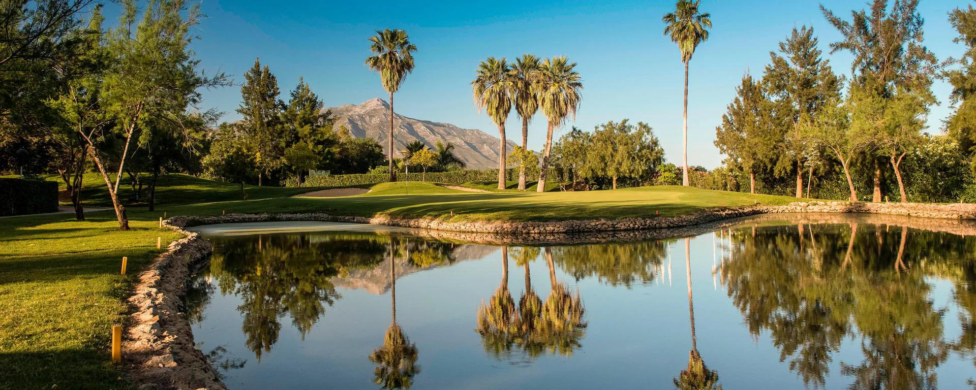Green over water with palm trees and mountains in the background