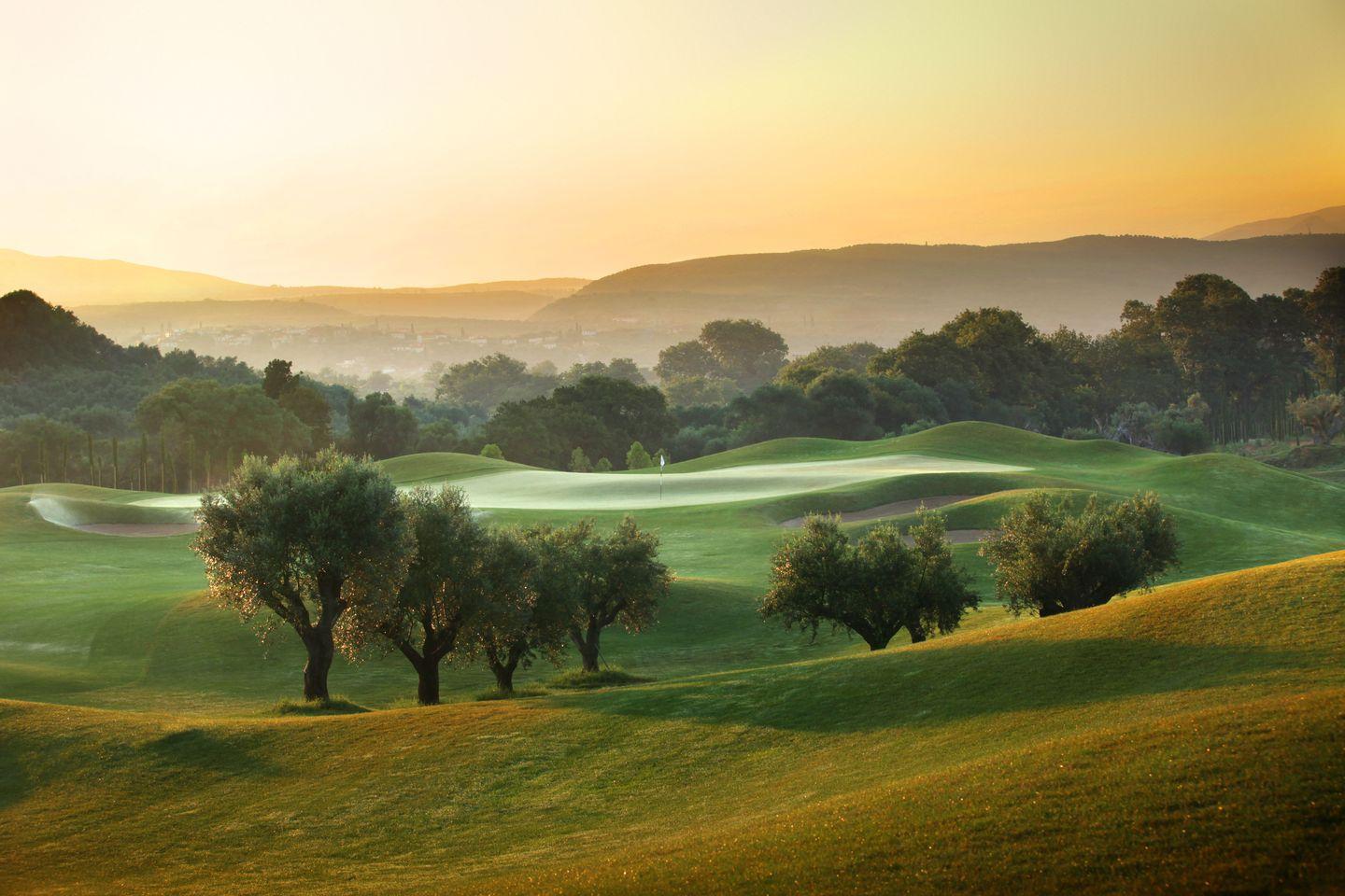 Olive trees dot a hilly golf course bathed in the soft morning light.