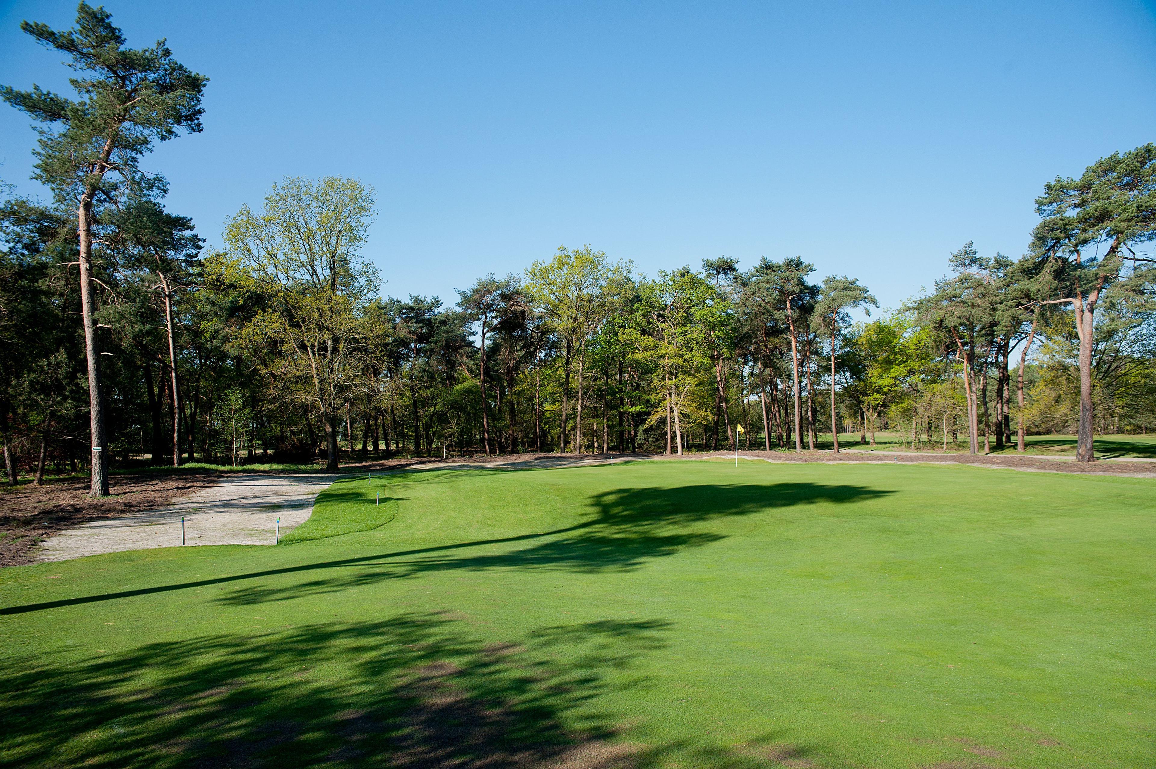 A pristine green surrounded by tall pine trees and clear skies.