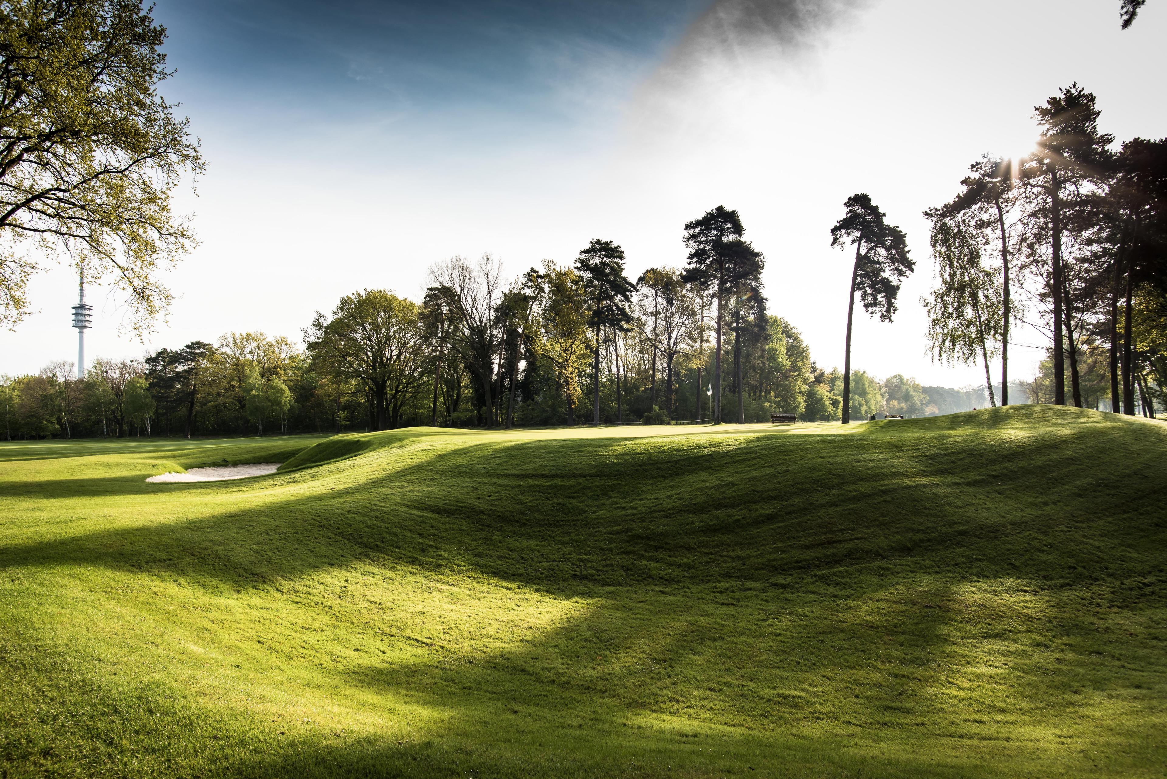 Rolling fairways framed by towering trees under a morning sun.