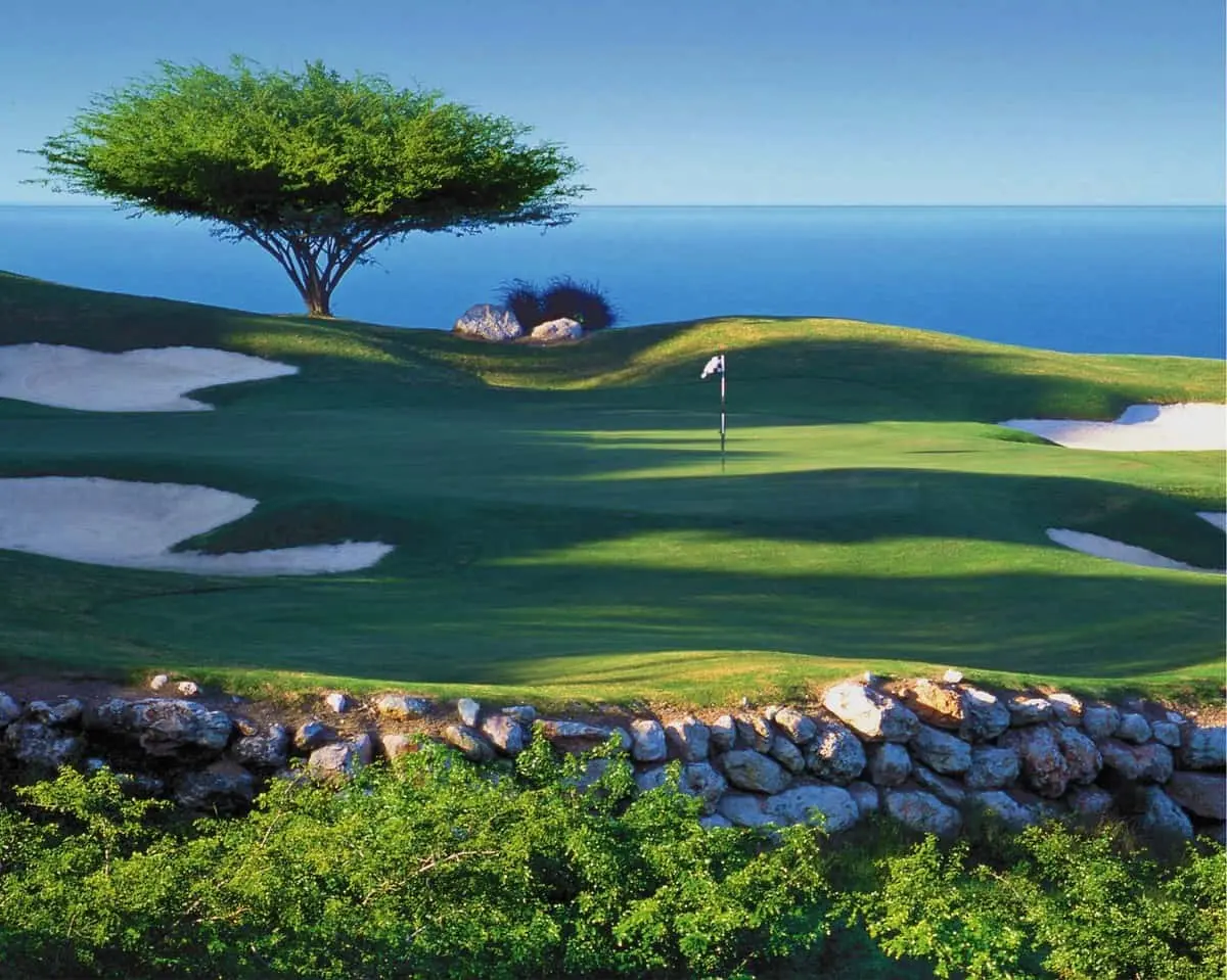 The green sits elevated with a rocky ledge and a lone tree against a blue ocean backdrop.