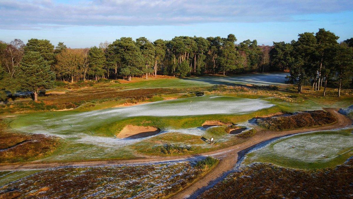 A frosty green surrounded by bunkers and pine trees.
