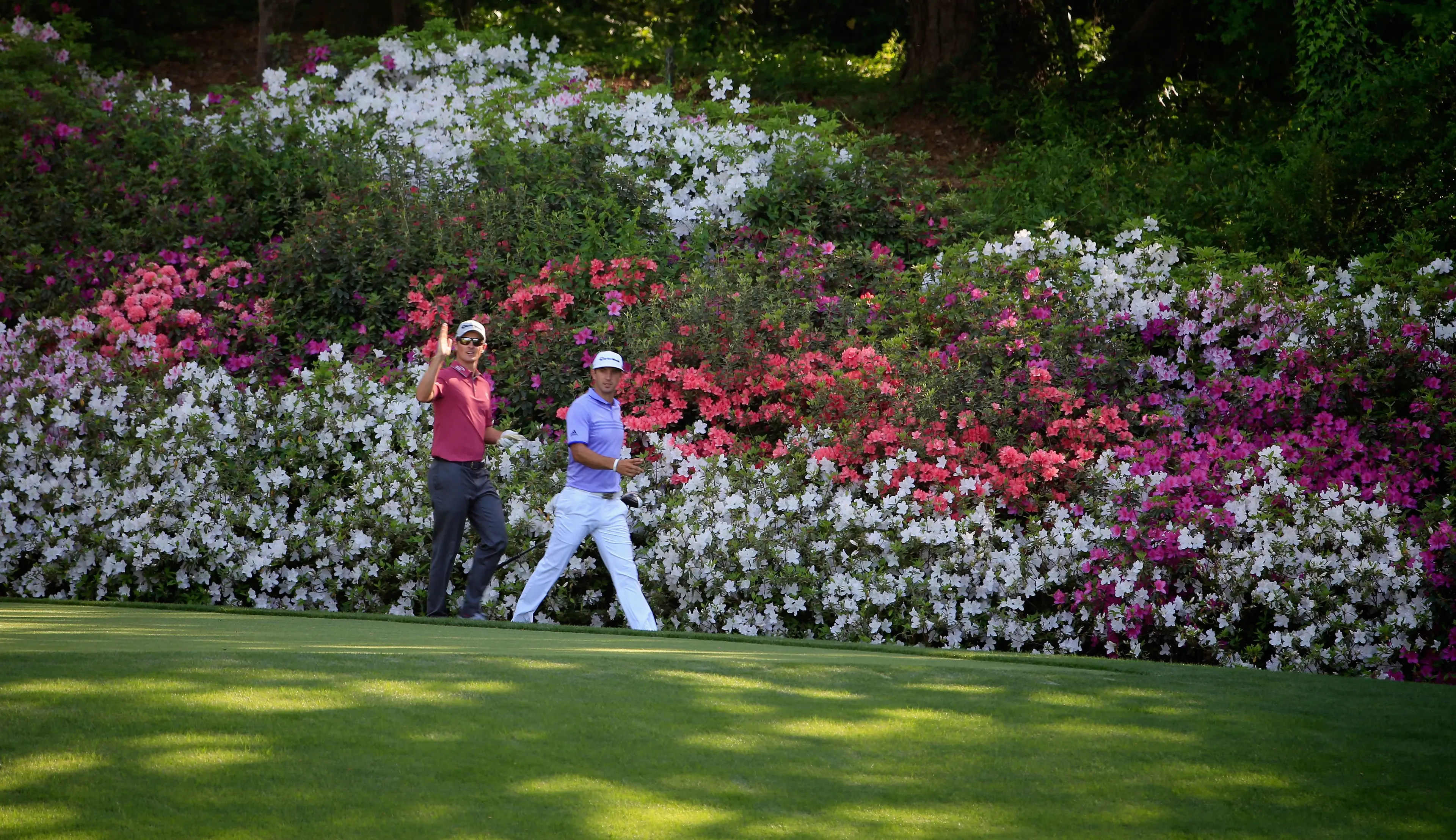 Two players walking at Augusta National with azaelias behind