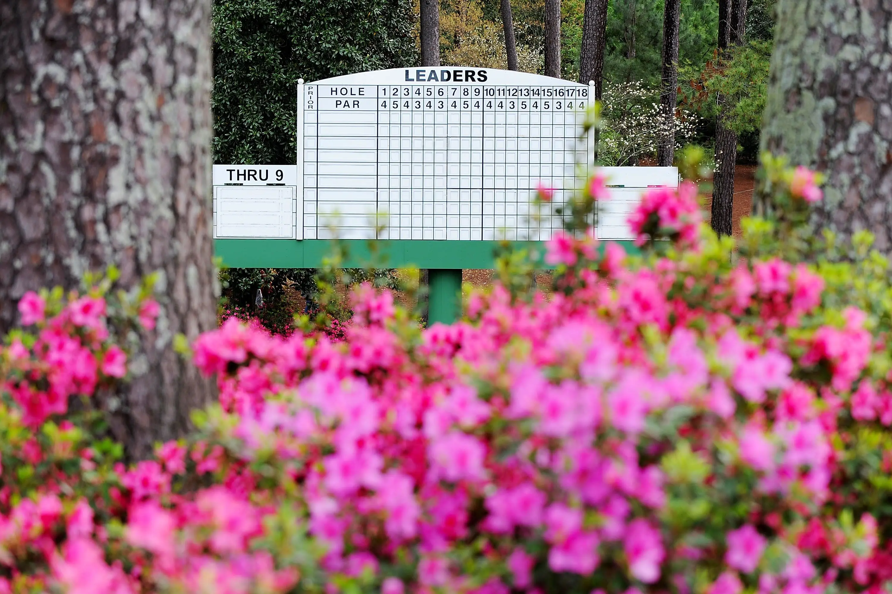 Scoreboard at Augusta National with azaelias in the foreground