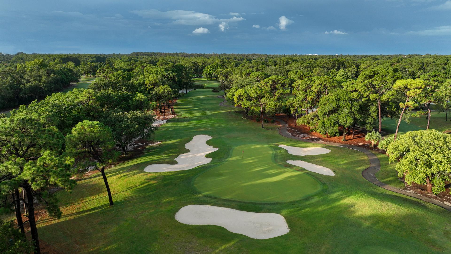 Overhead view of a smooth green surrounded by sand bunkers lined with forest trees