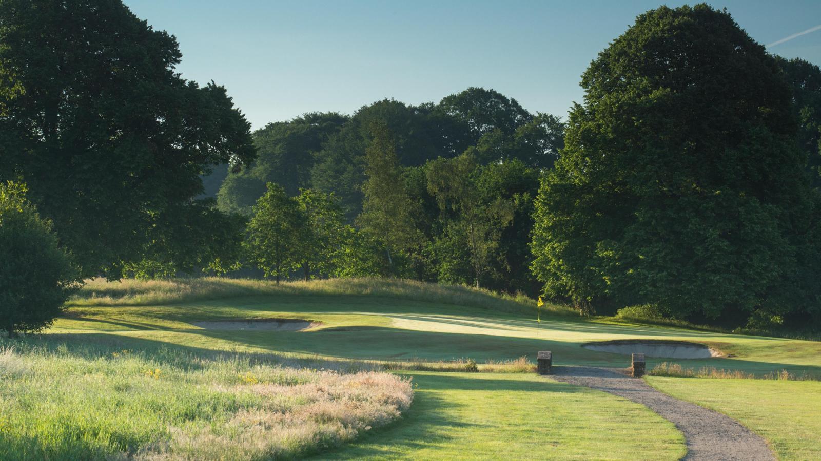 A wide fairway framed by forest trees on the course