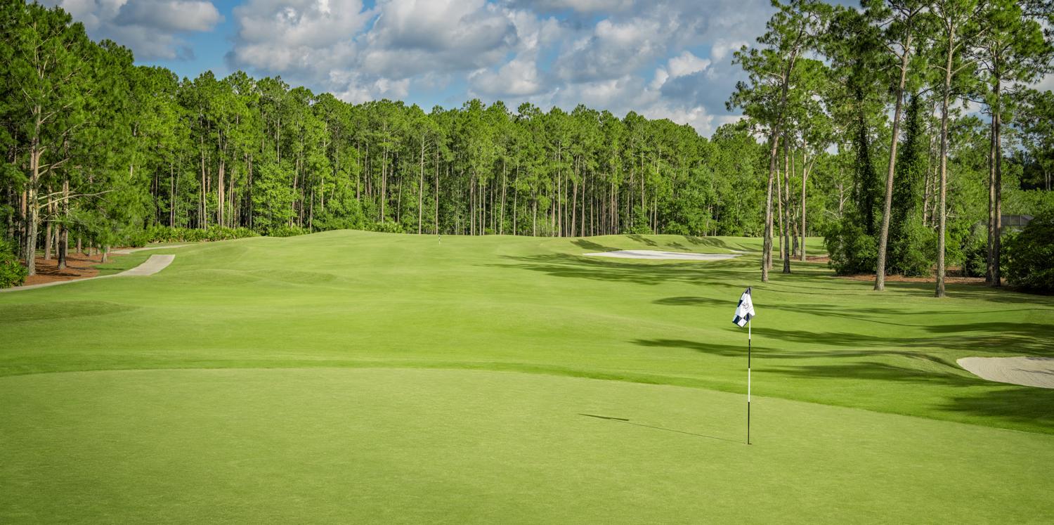 A wide fairway leading to a smooth green surrounded by forest trees